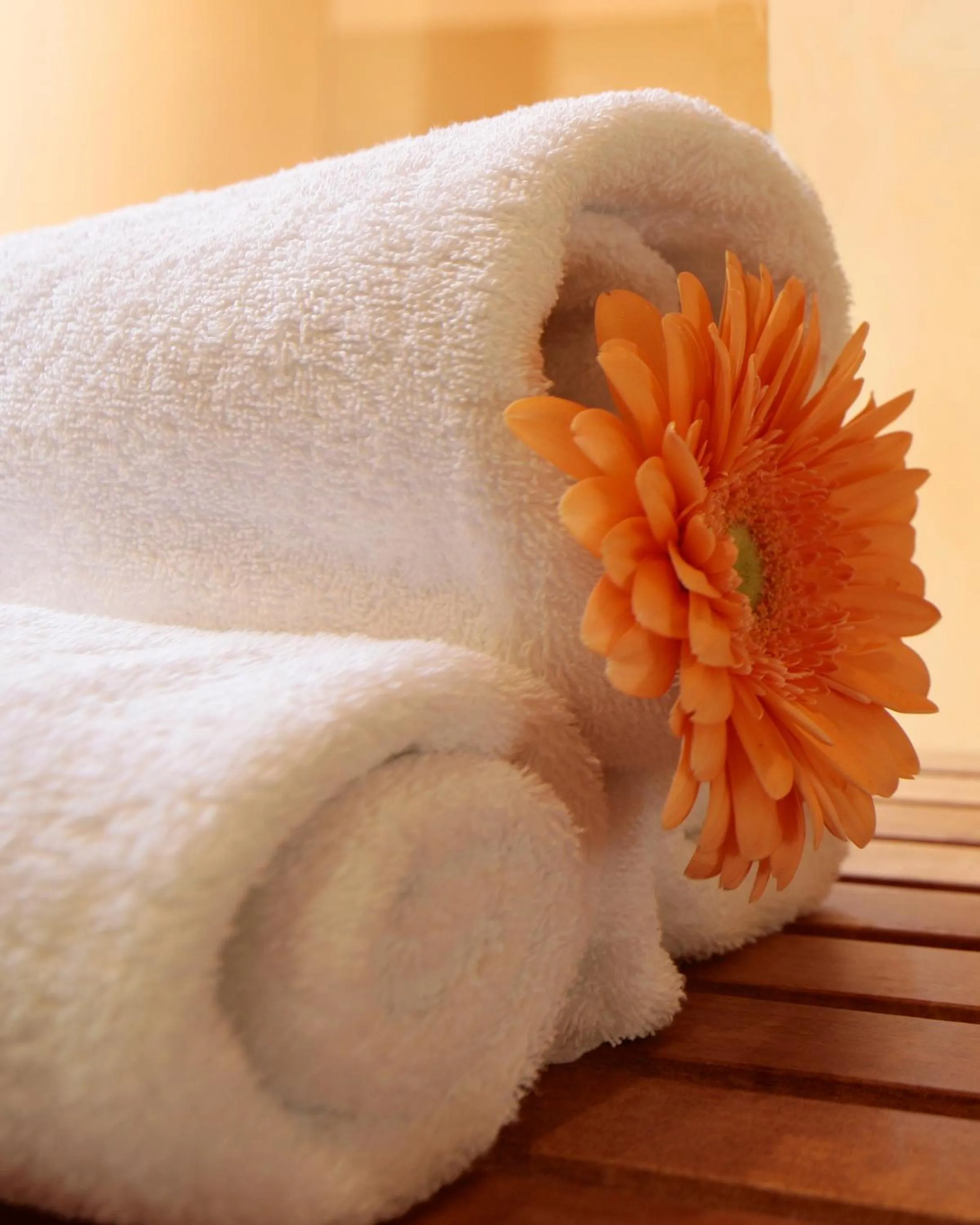 Hot Tub in Ringhotel Fährhaus