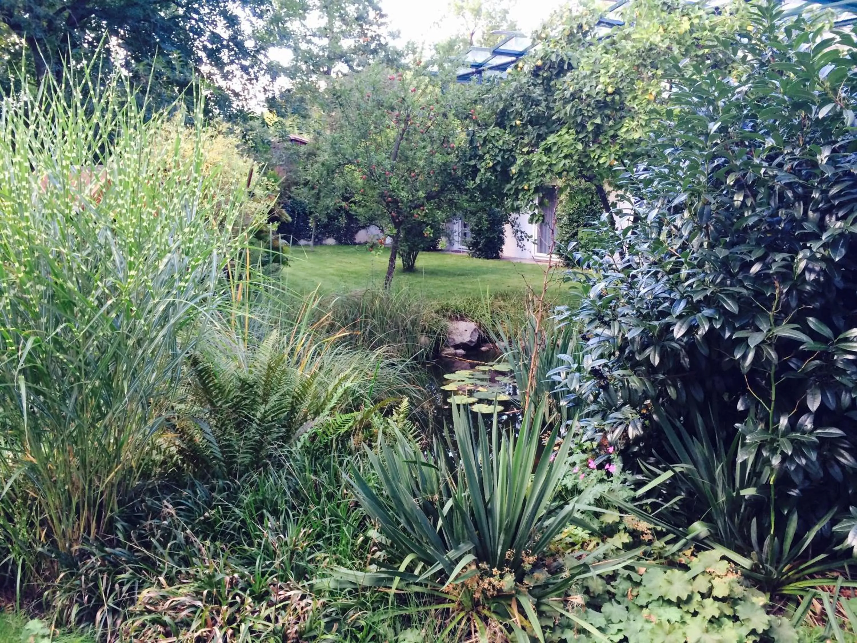 Garden in Ringhotel Fährhaus