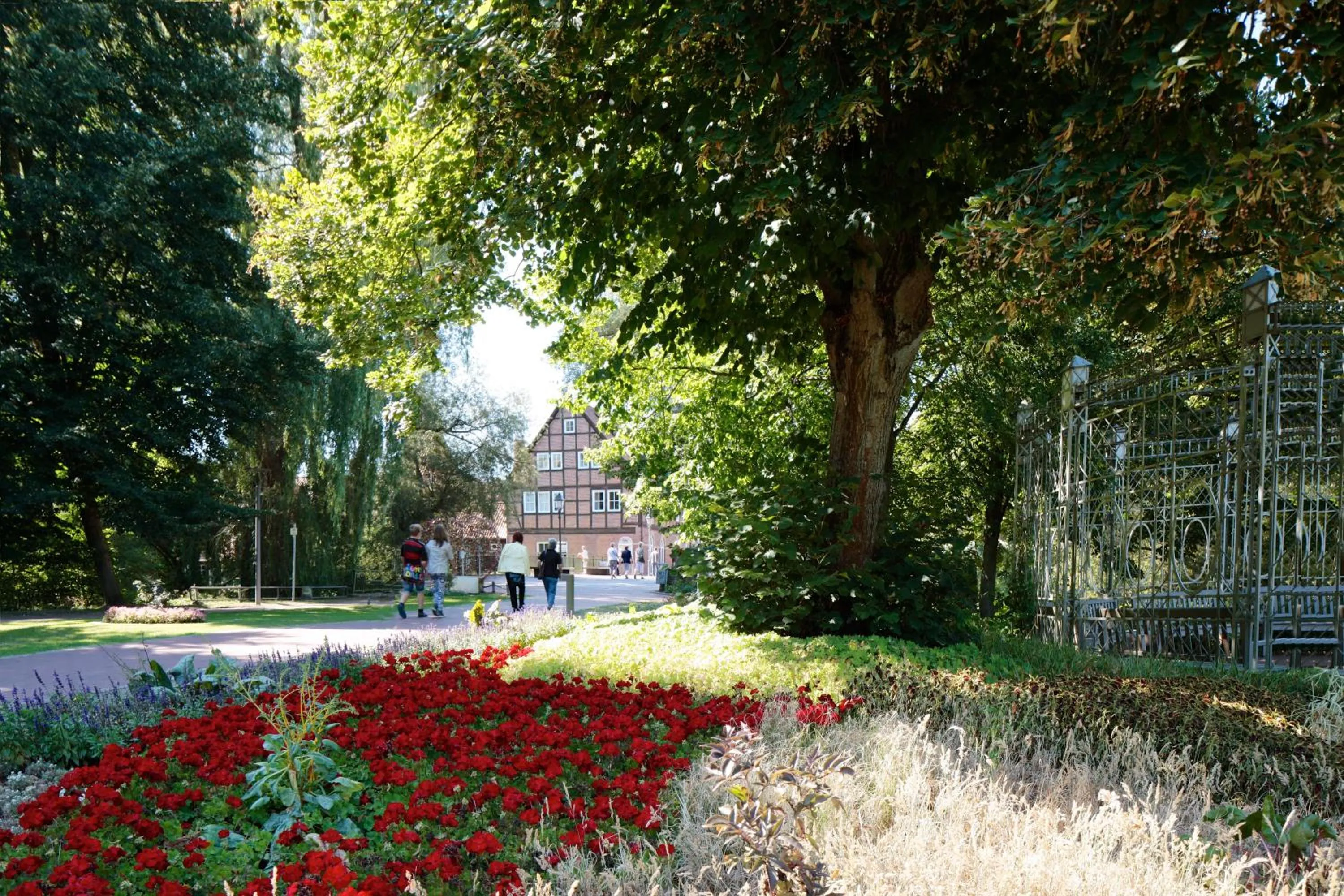 Natural landscape in Ringhotel Fährhaus