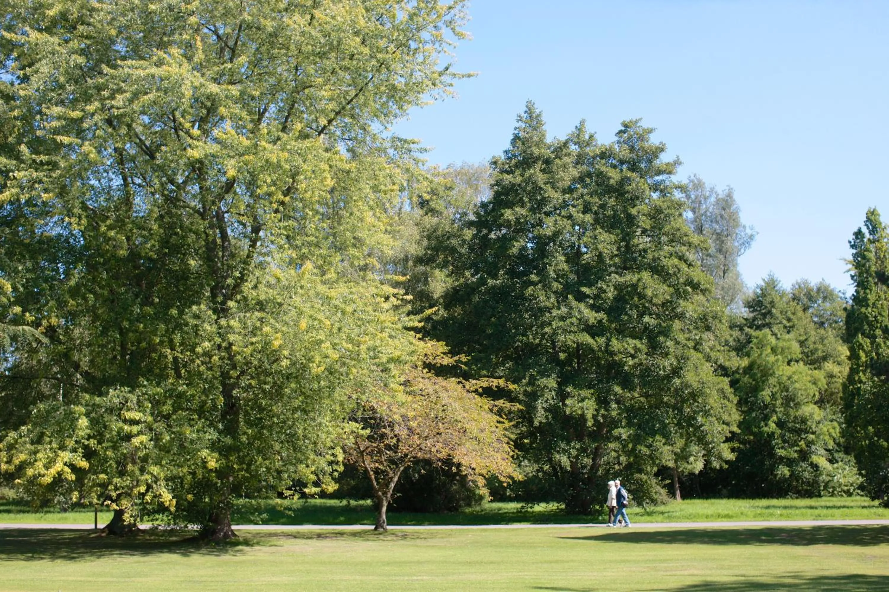 Natural landscape in Ringhotel Fährhaus