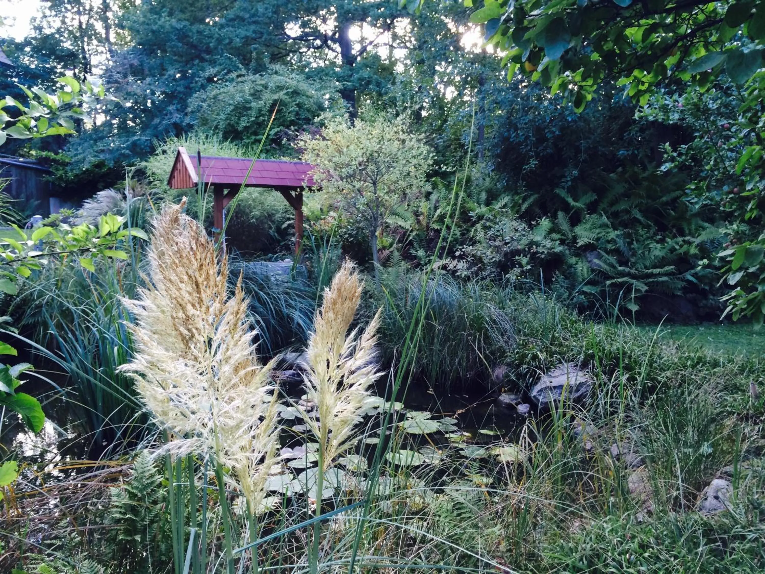 Garden in Ringhotel Fährhaus