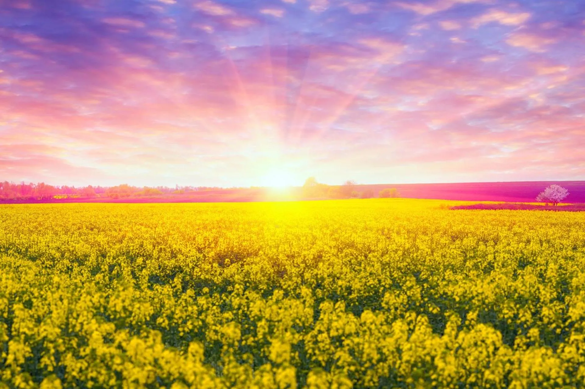 Day in Ringhotel Fährhaus