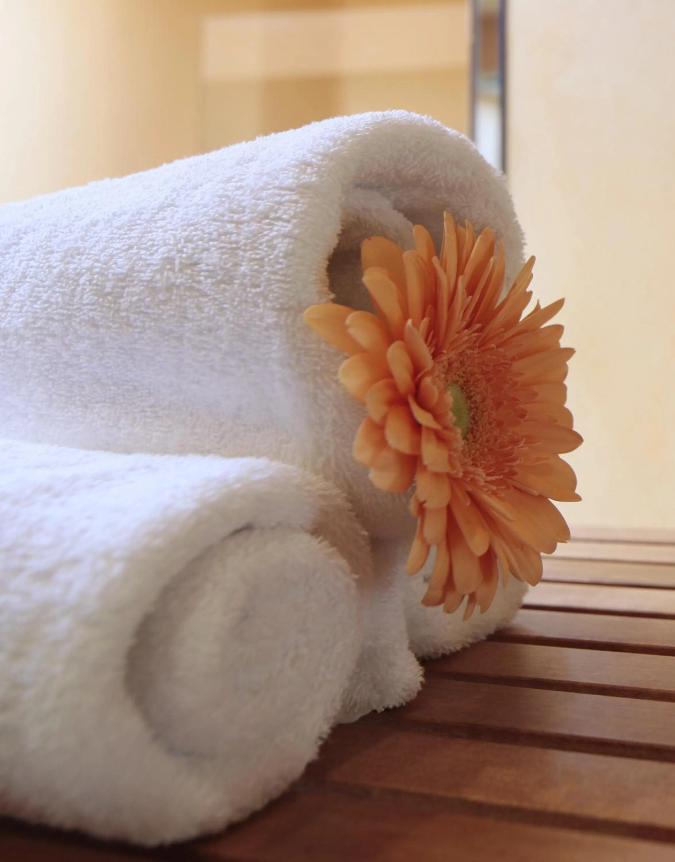 Spa and wellness centre/facilities in Ringhotel Fährhaus