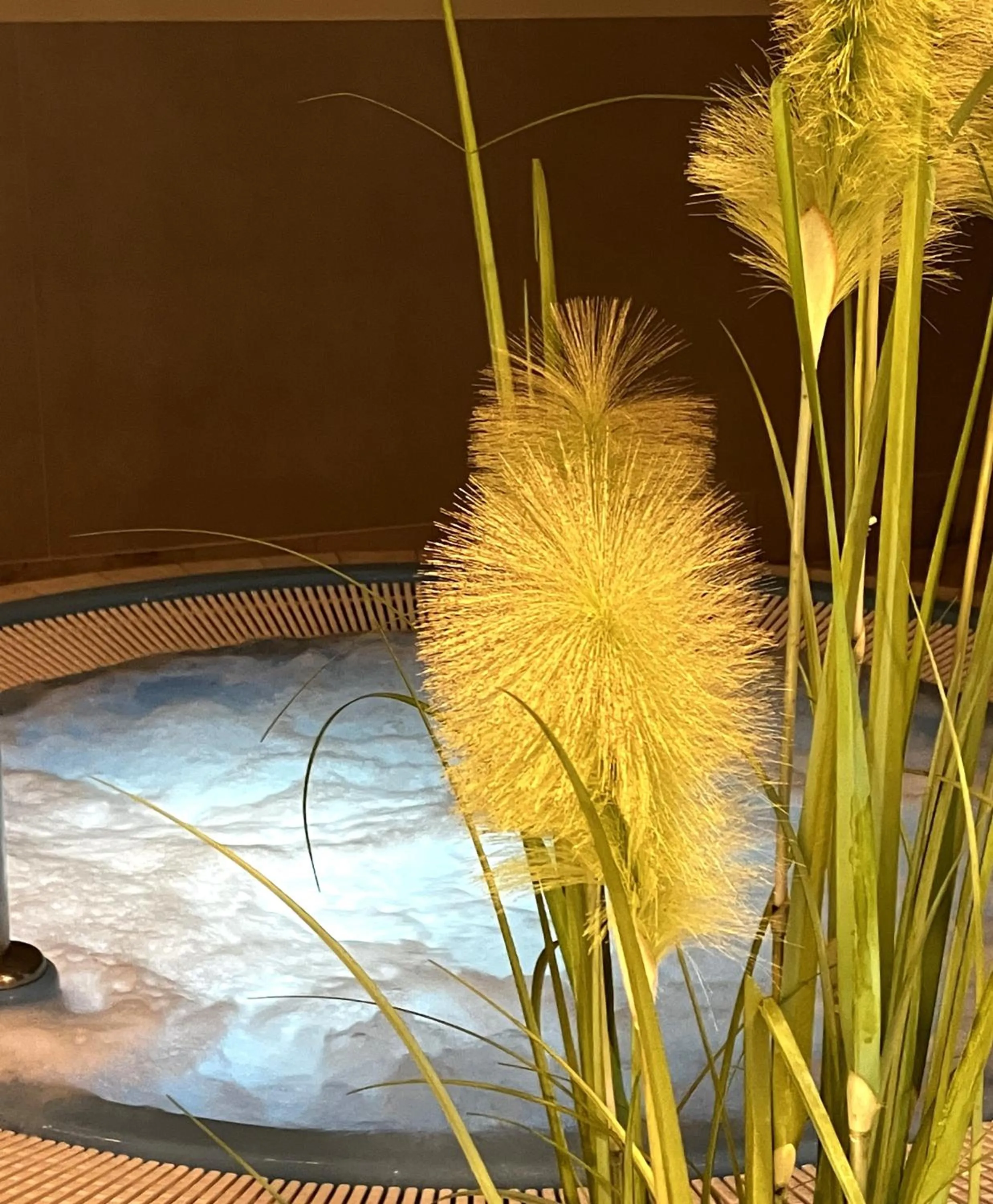 Swimming pool in Ringhotel Fährhaus