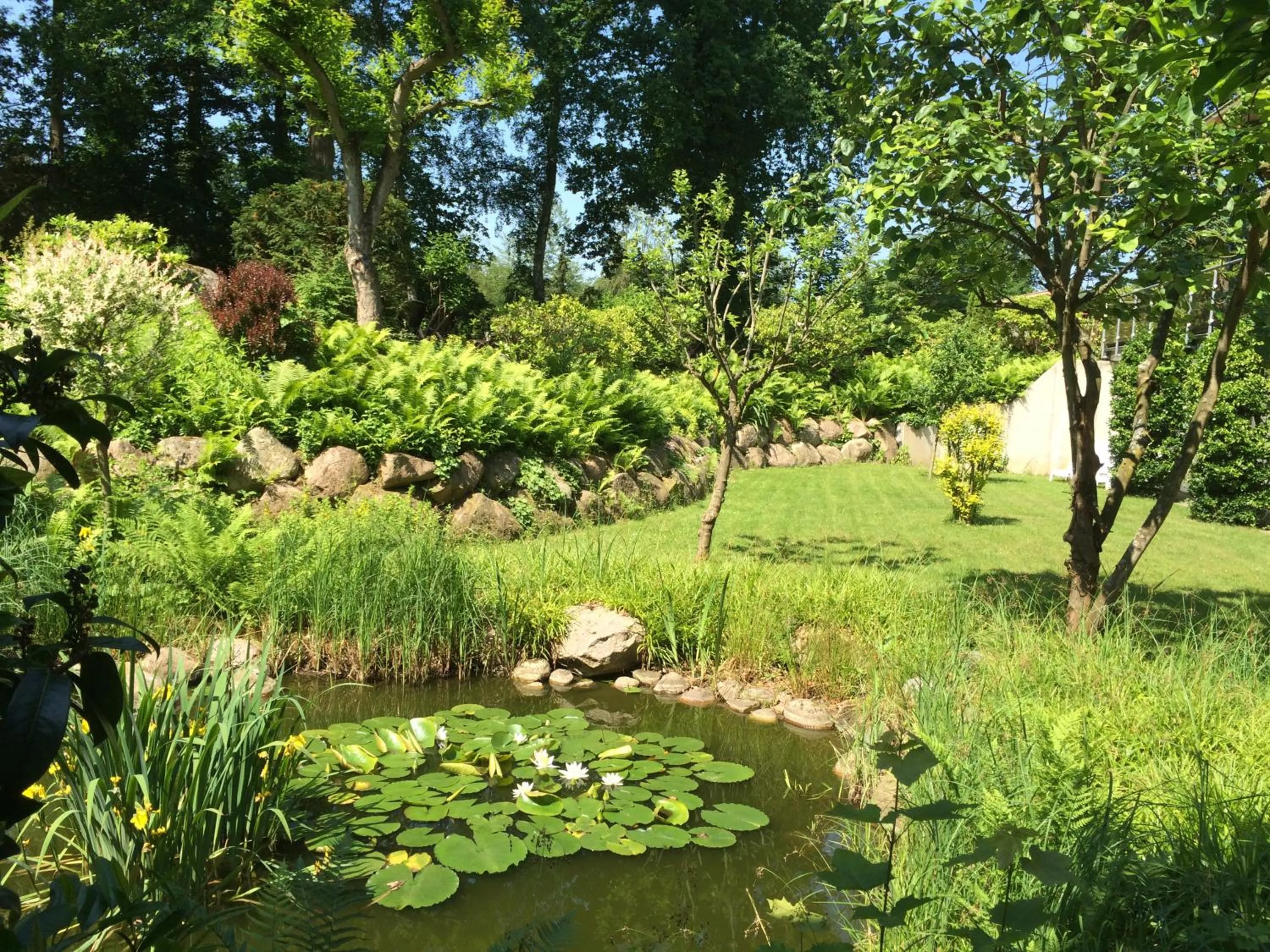 Garden in Ringhotel Fährhaus