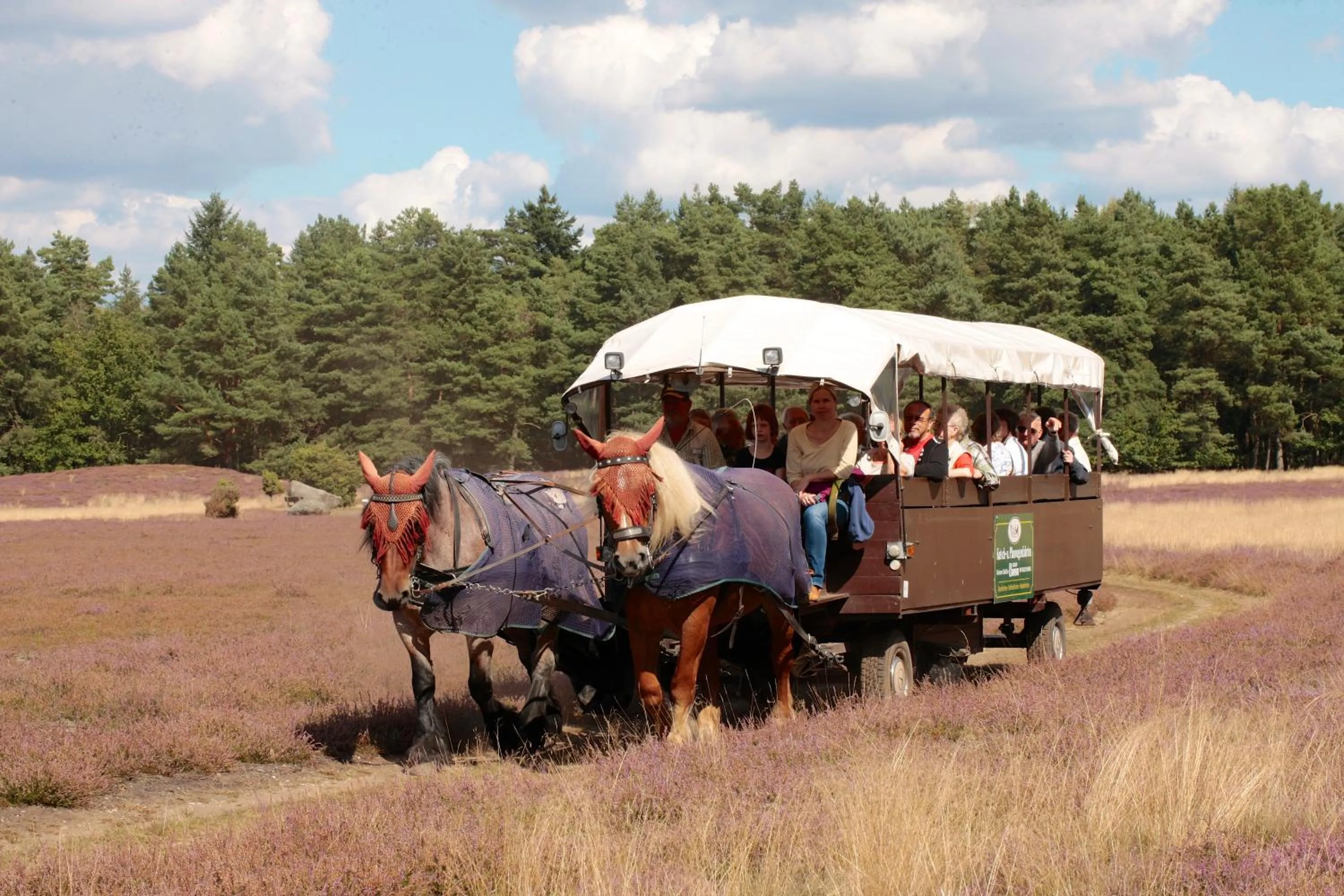 Natural landscape in Ringhotel Fährhaus