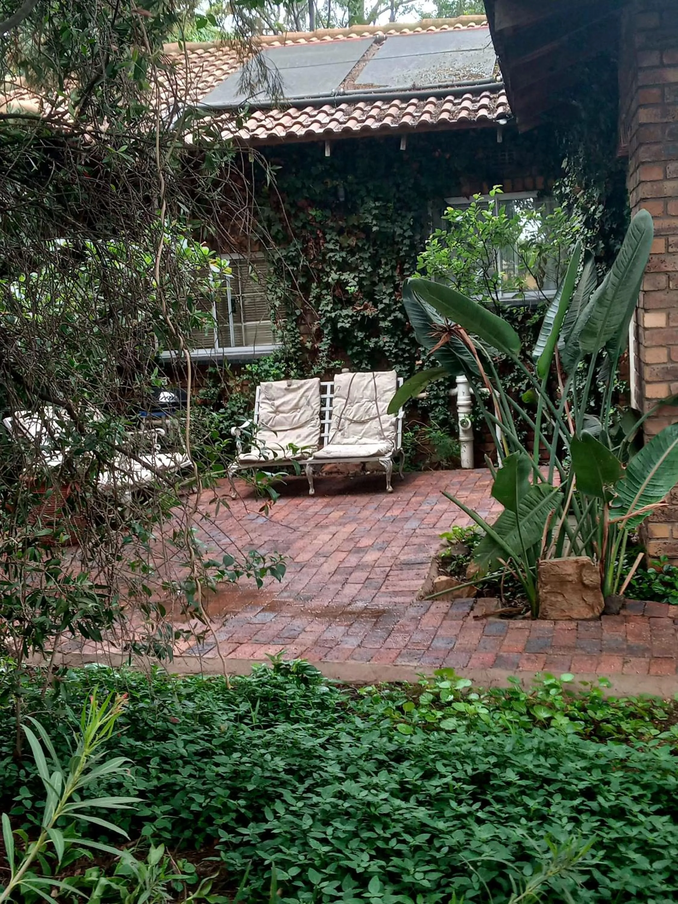 Emerald Guest House Springs