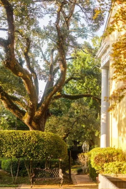 Anchuca Historic Mansion & Inn