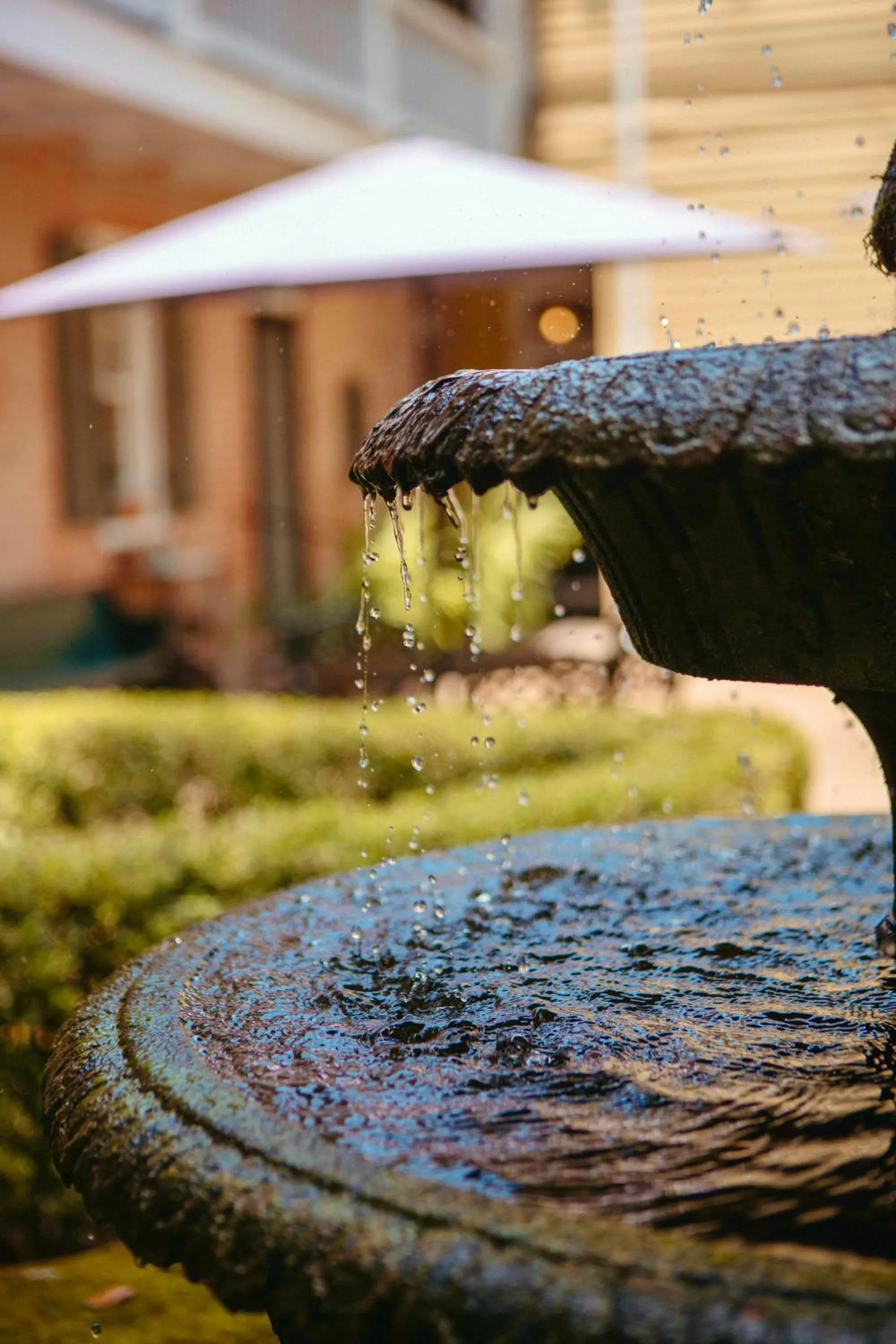 Restaurant/places to eat in Anchuca Historic Mansion & Inn