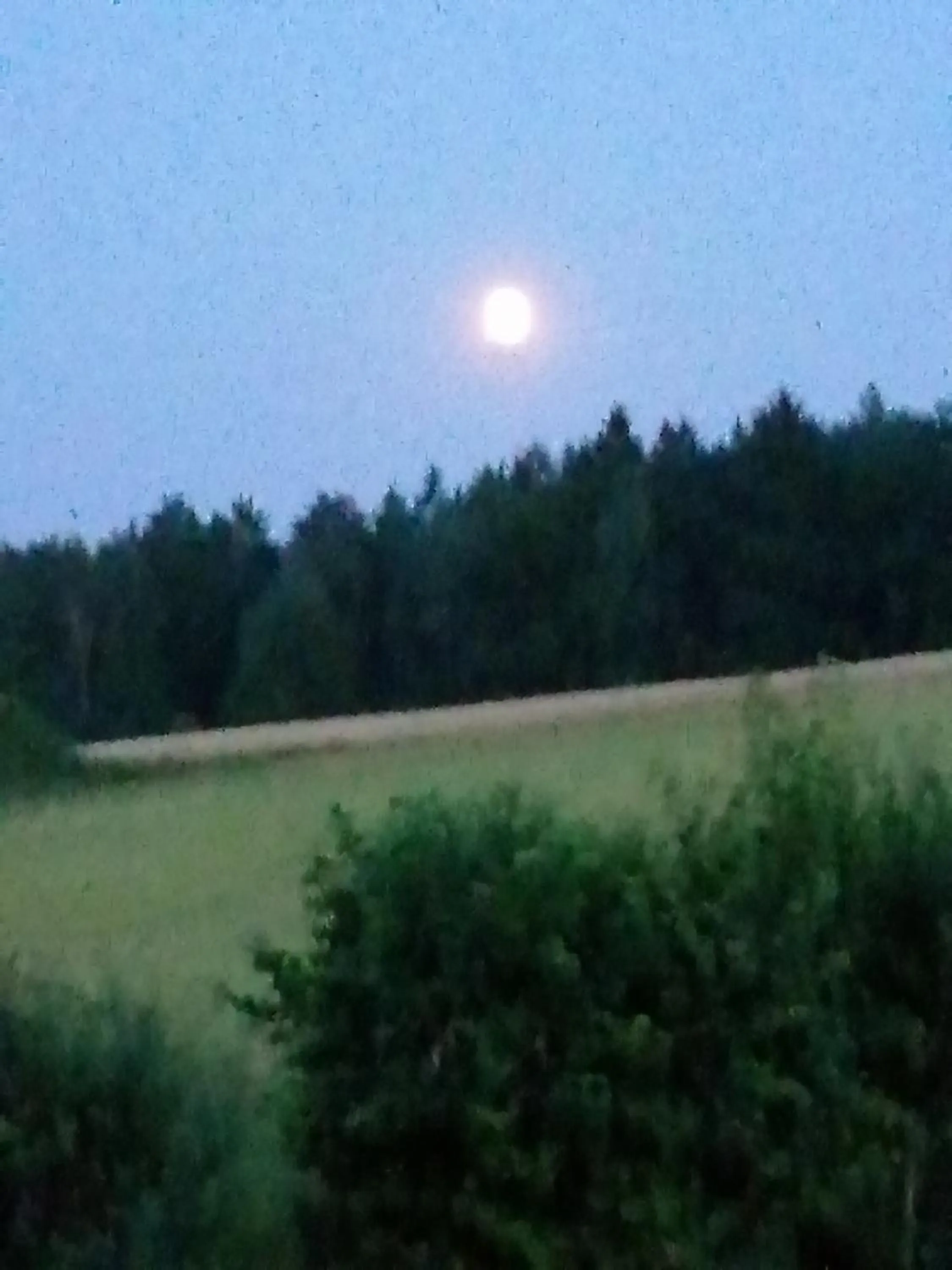 Hiking in Hotel Lugerhof