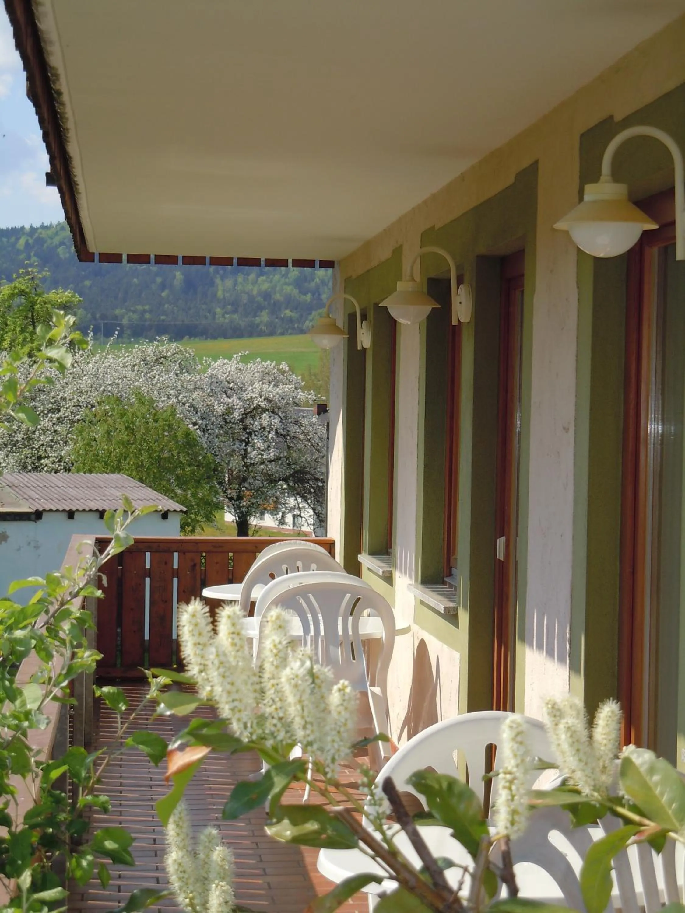 Balcony/Terrace in Hotel Lugerhof