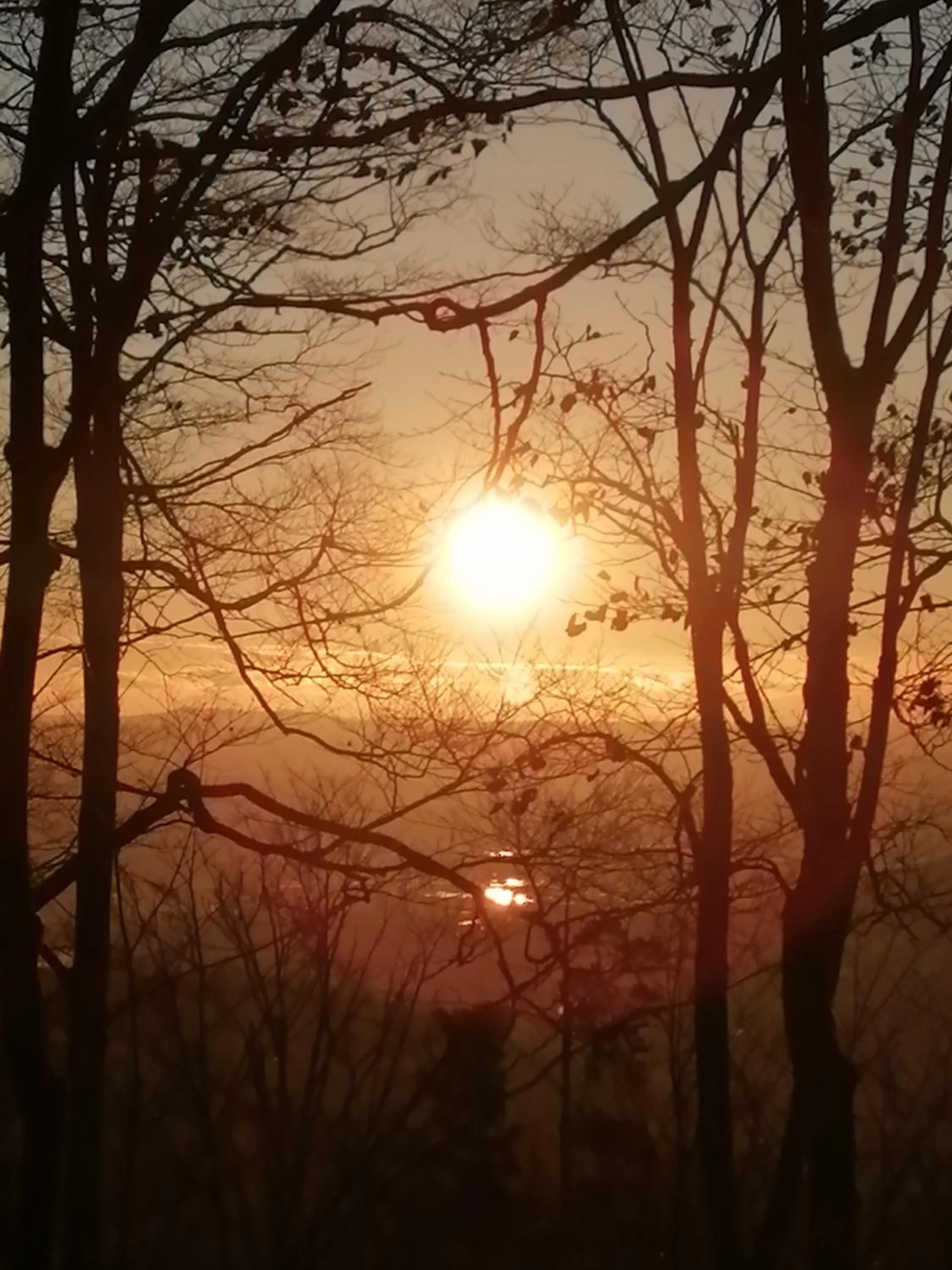 Hiking in Hotel Lugerhof