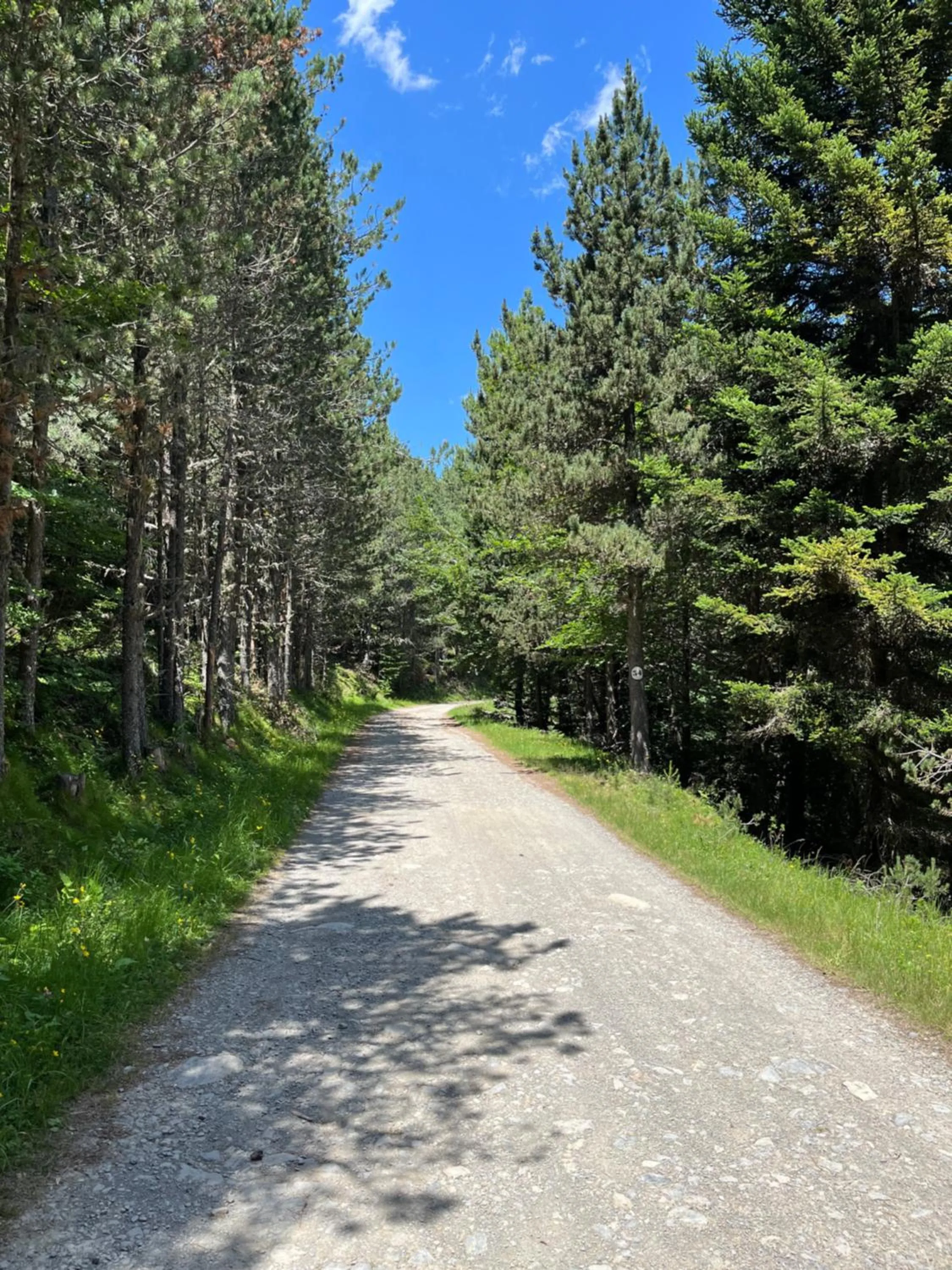 Hiking in Résidence Les Esplaneilles