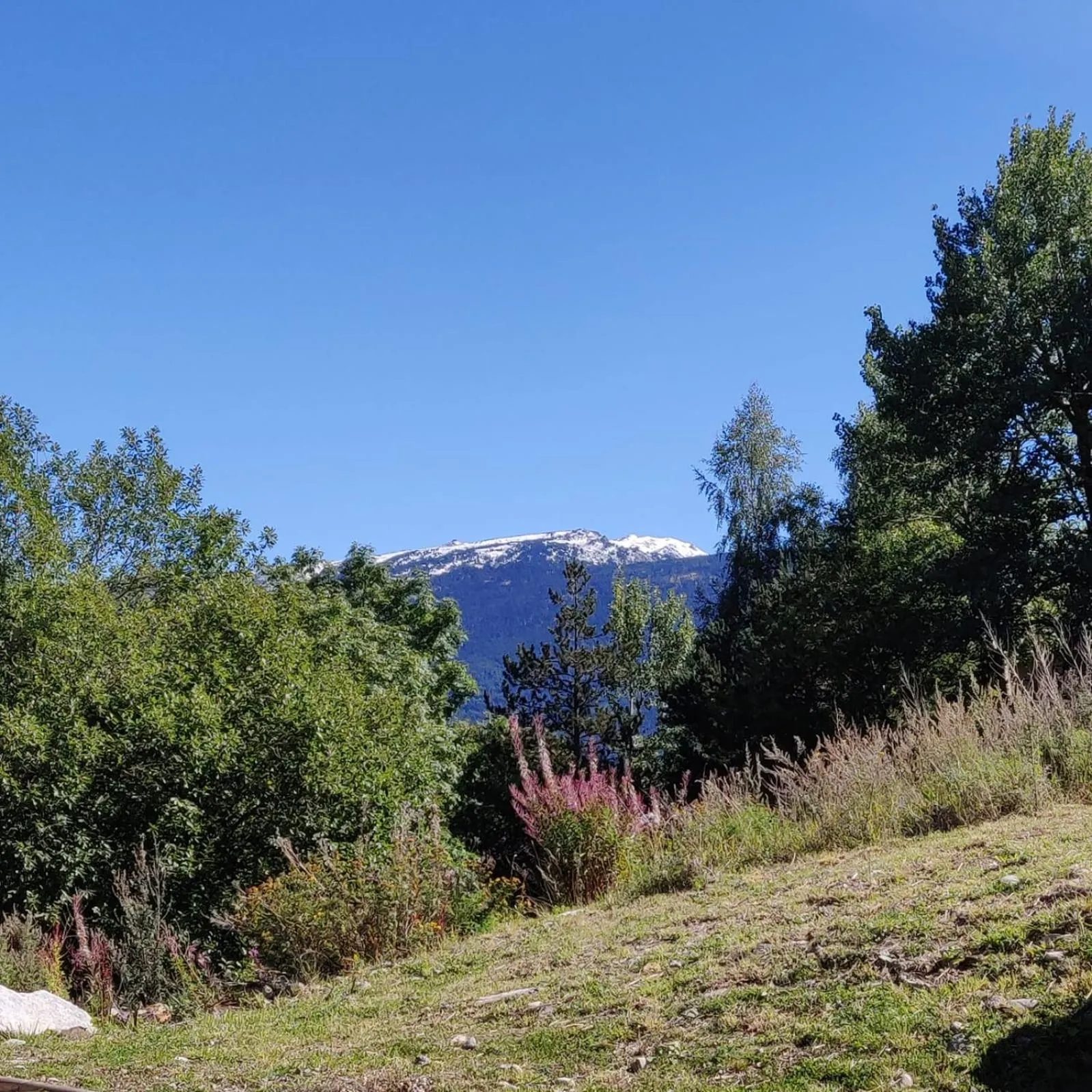 Spring in Résidence Les Esplaneilles