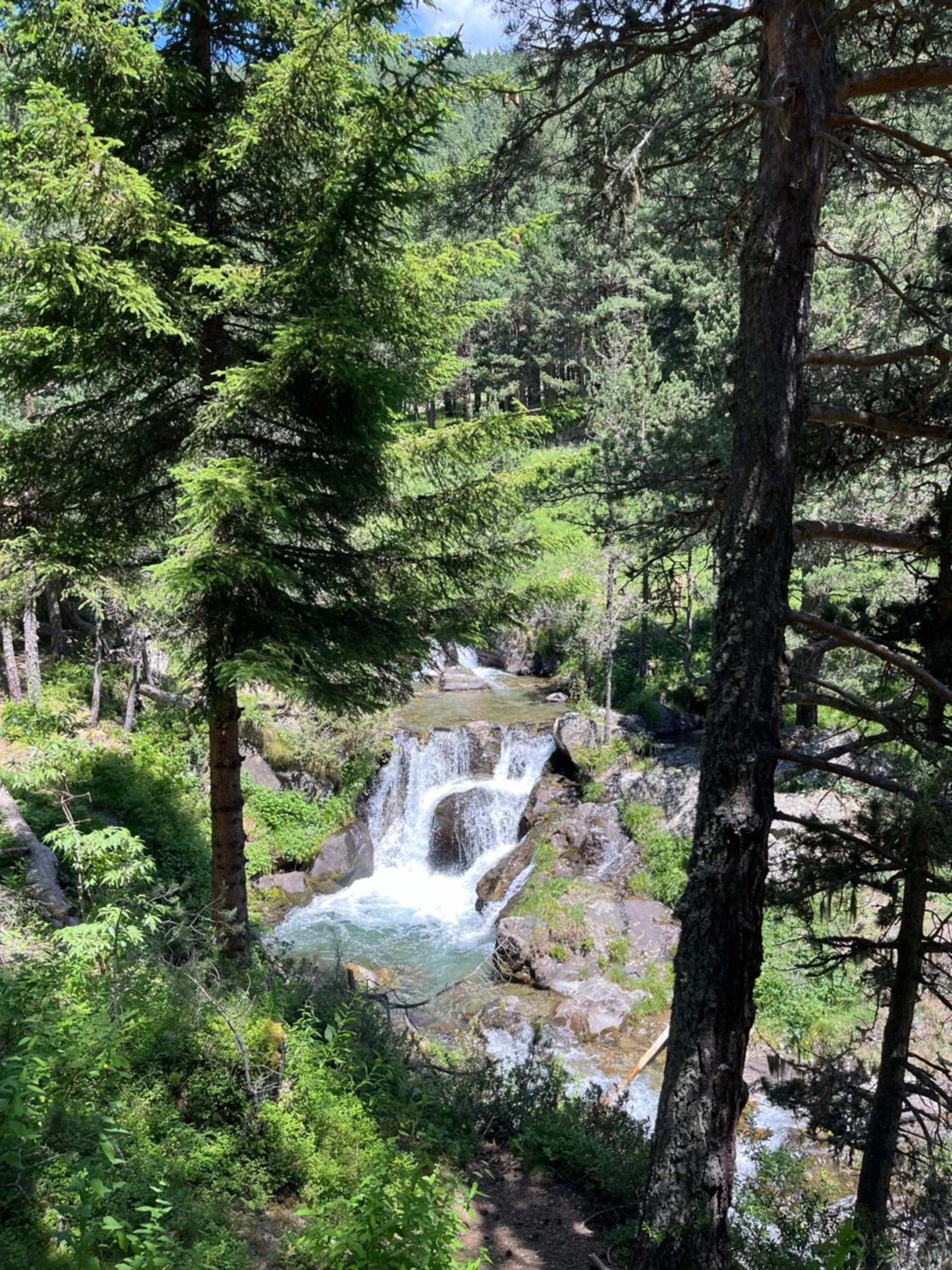 Fishing in Résidence Les Esplaneilles