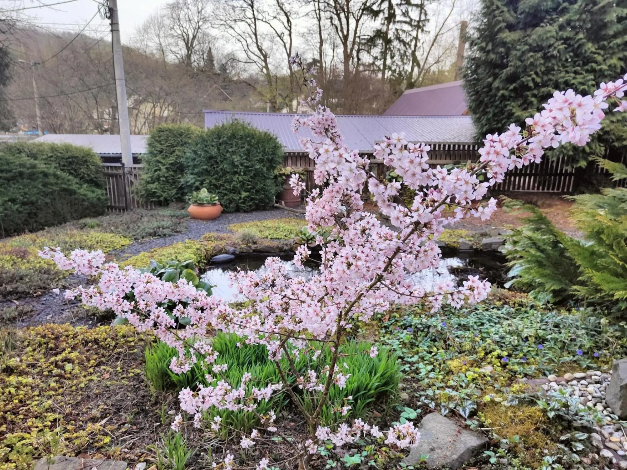 Spring in Bed and Breakfast Tvrz