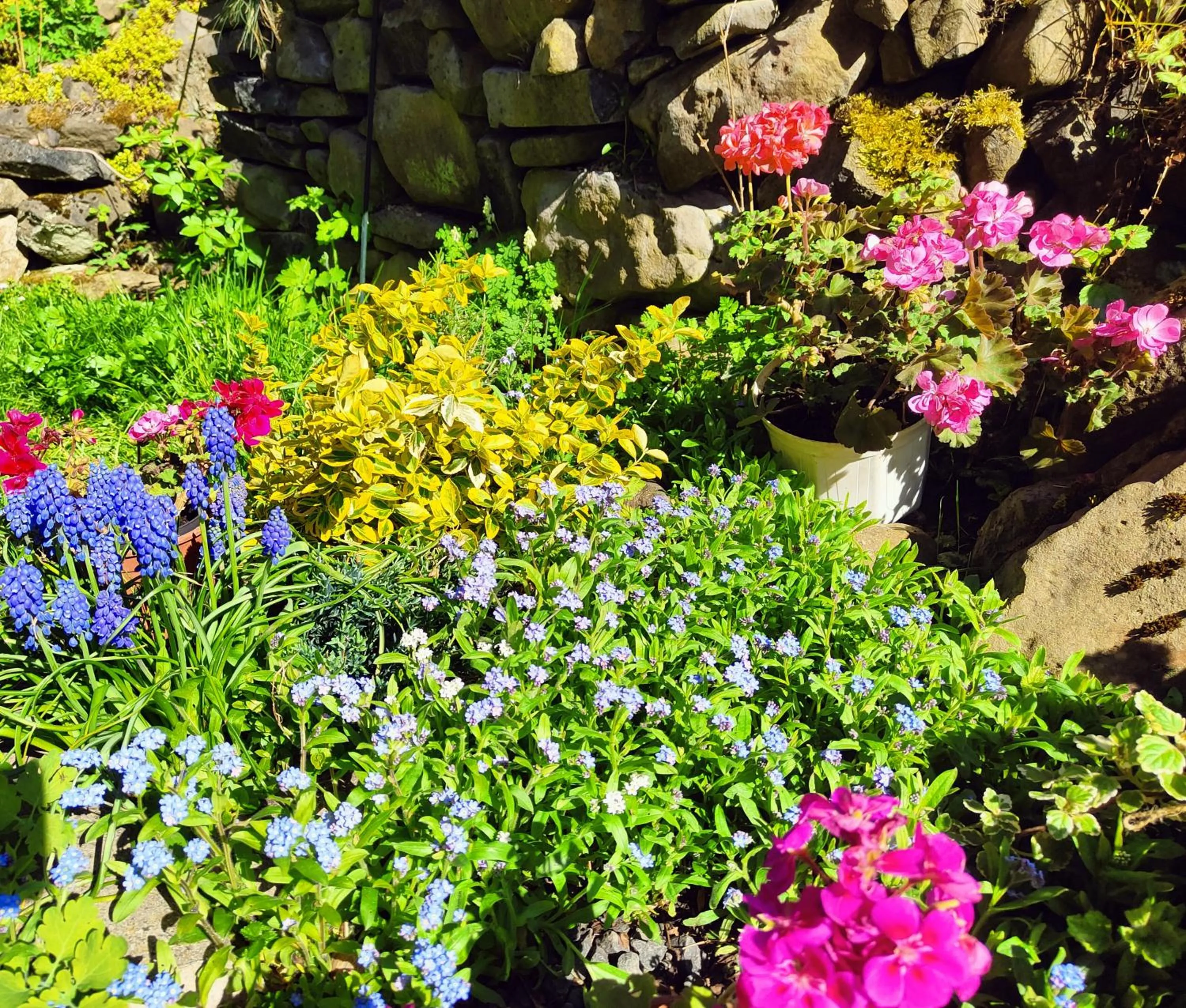 Bed and Breakfast Tvrz