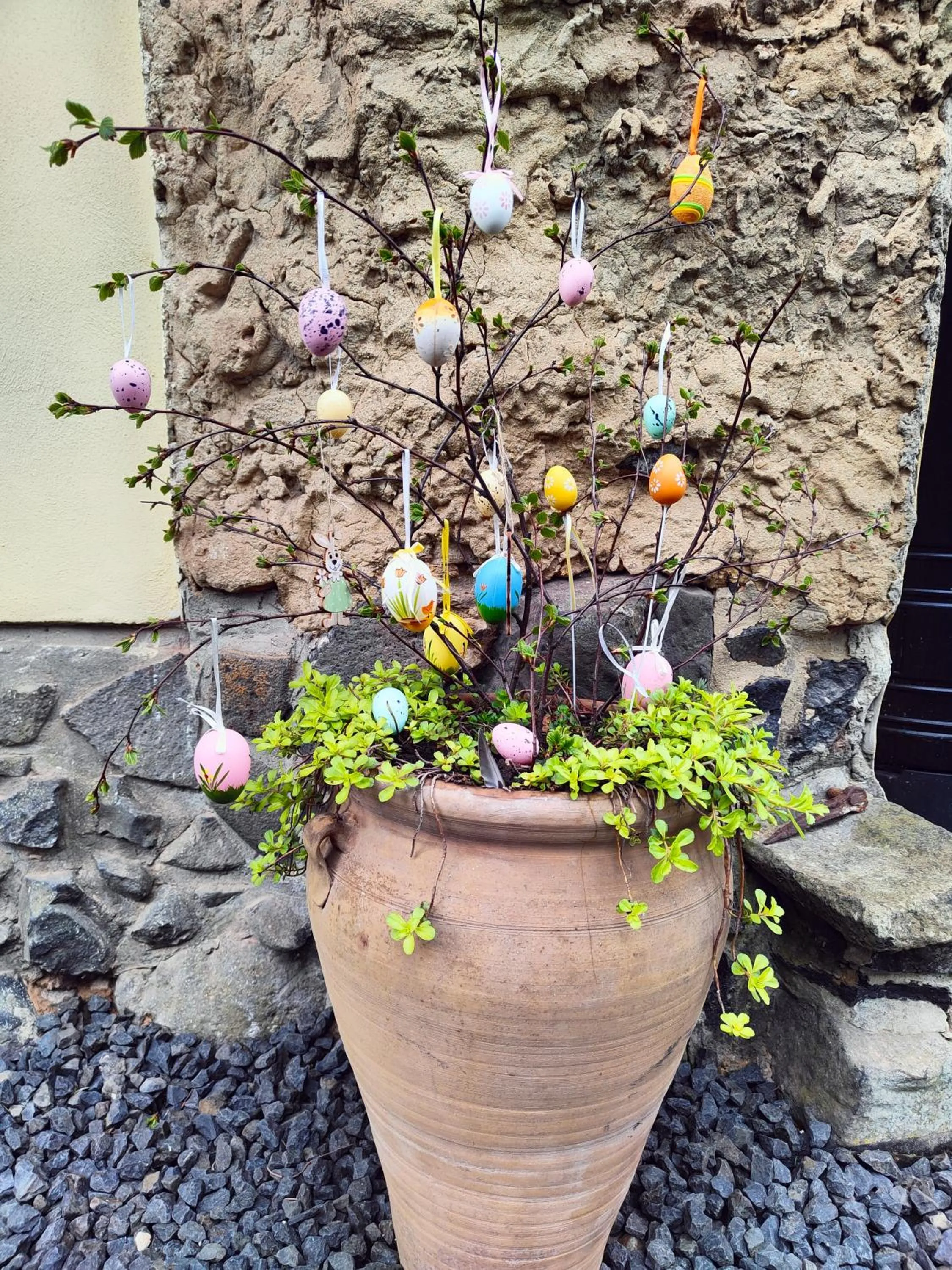 Bed and Breakfast Tvrz