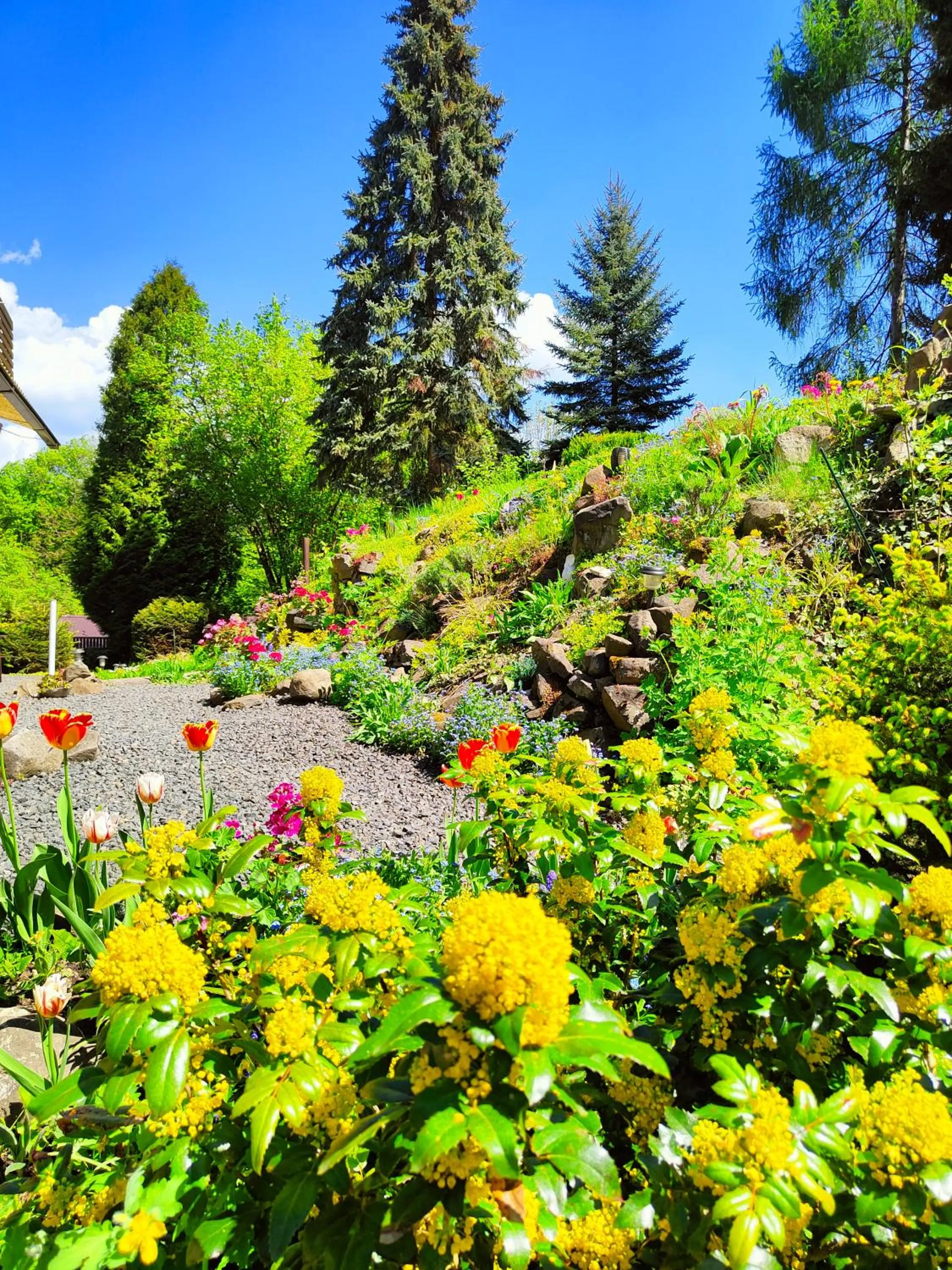 Bed and Breakfast Tvrz