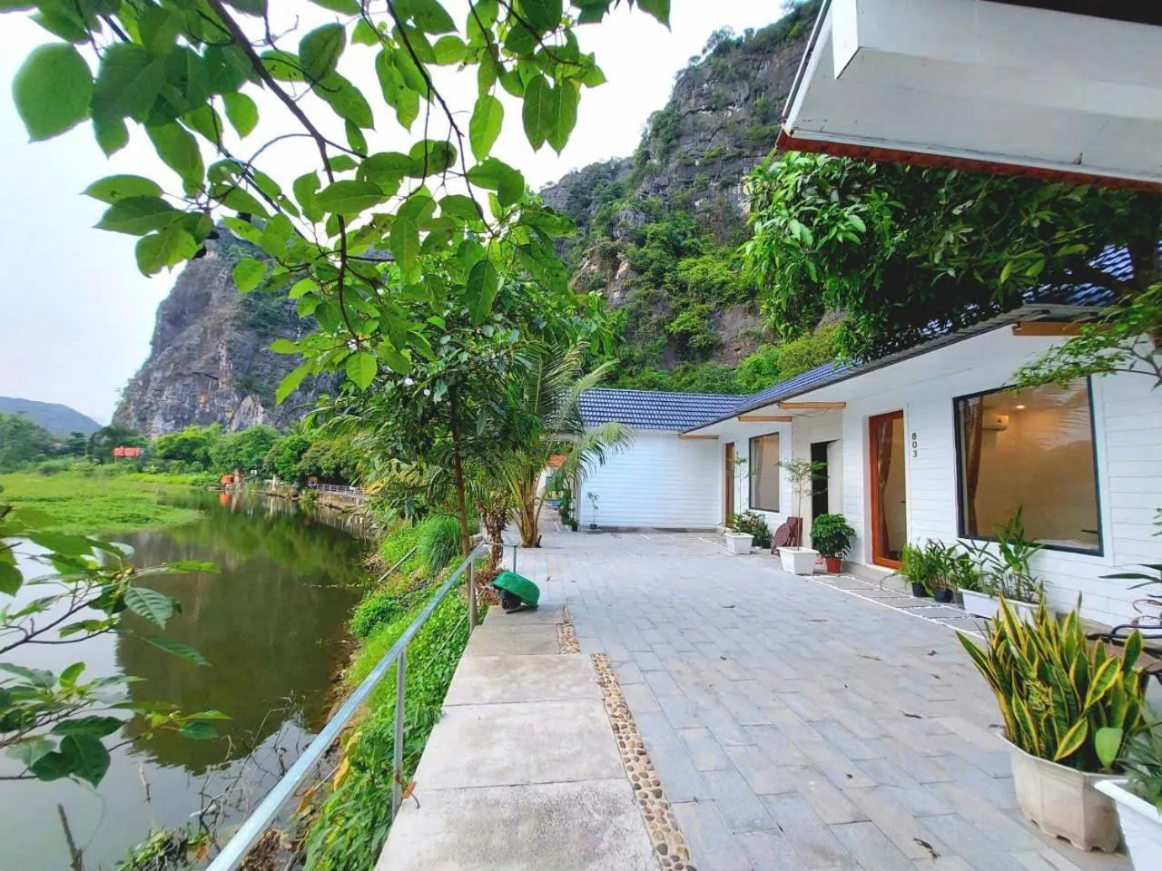 Serena riverside homestay - Tràng An
