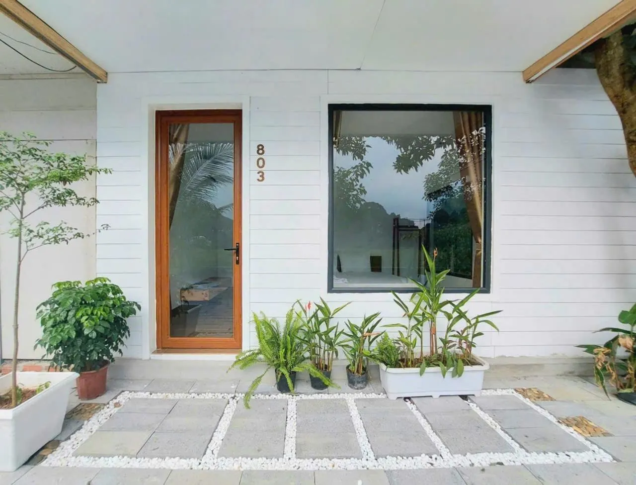 Serena riverside homestay - Tràng An
