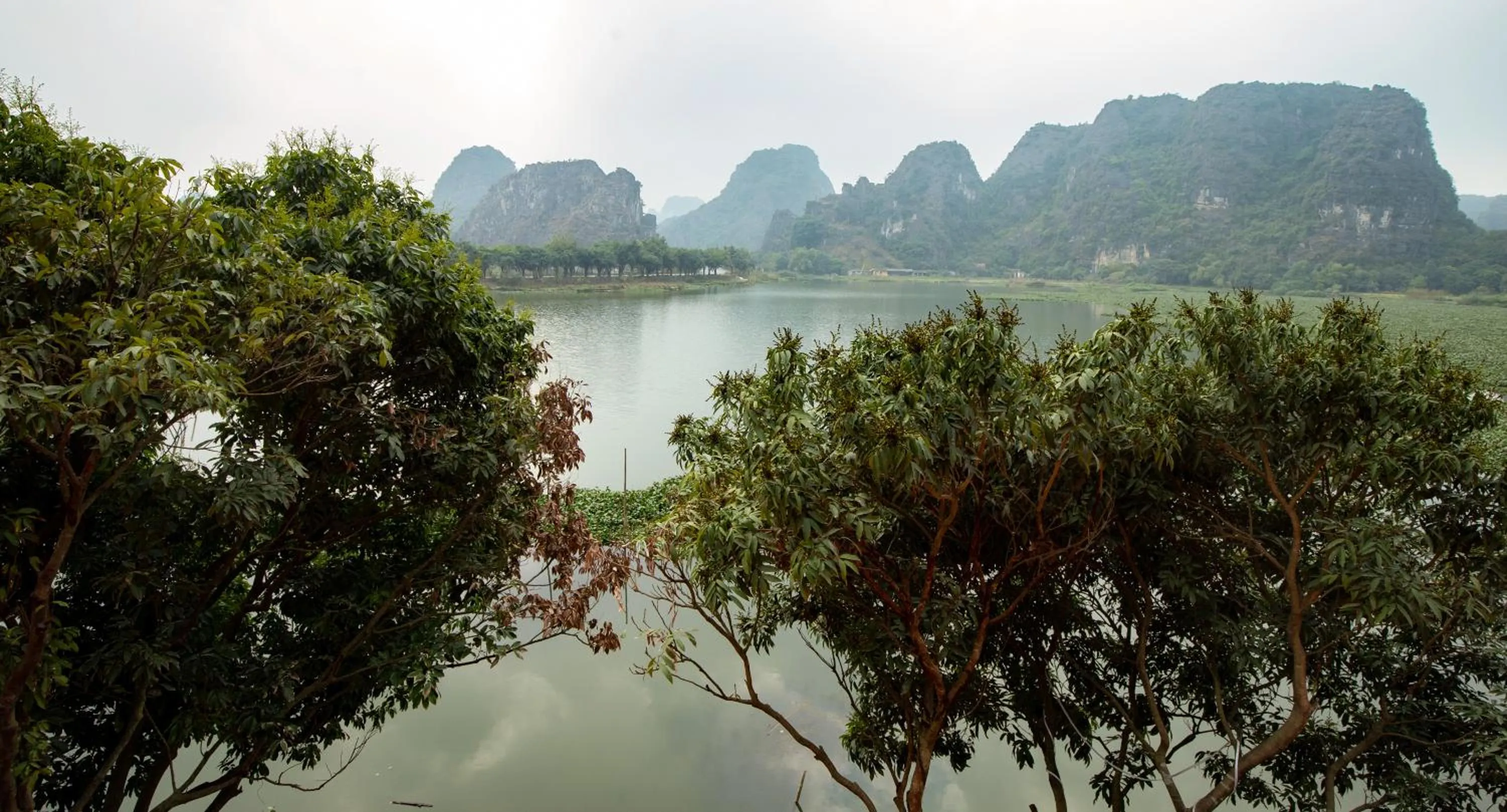 Serena riverside homestay - Tràng An