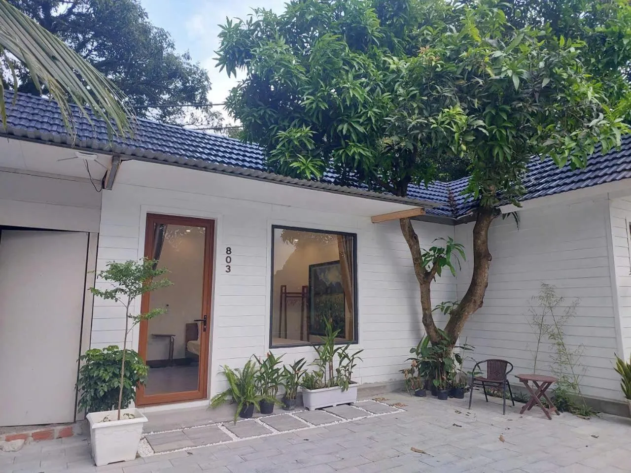 Serena riverside homestay - Tràng An