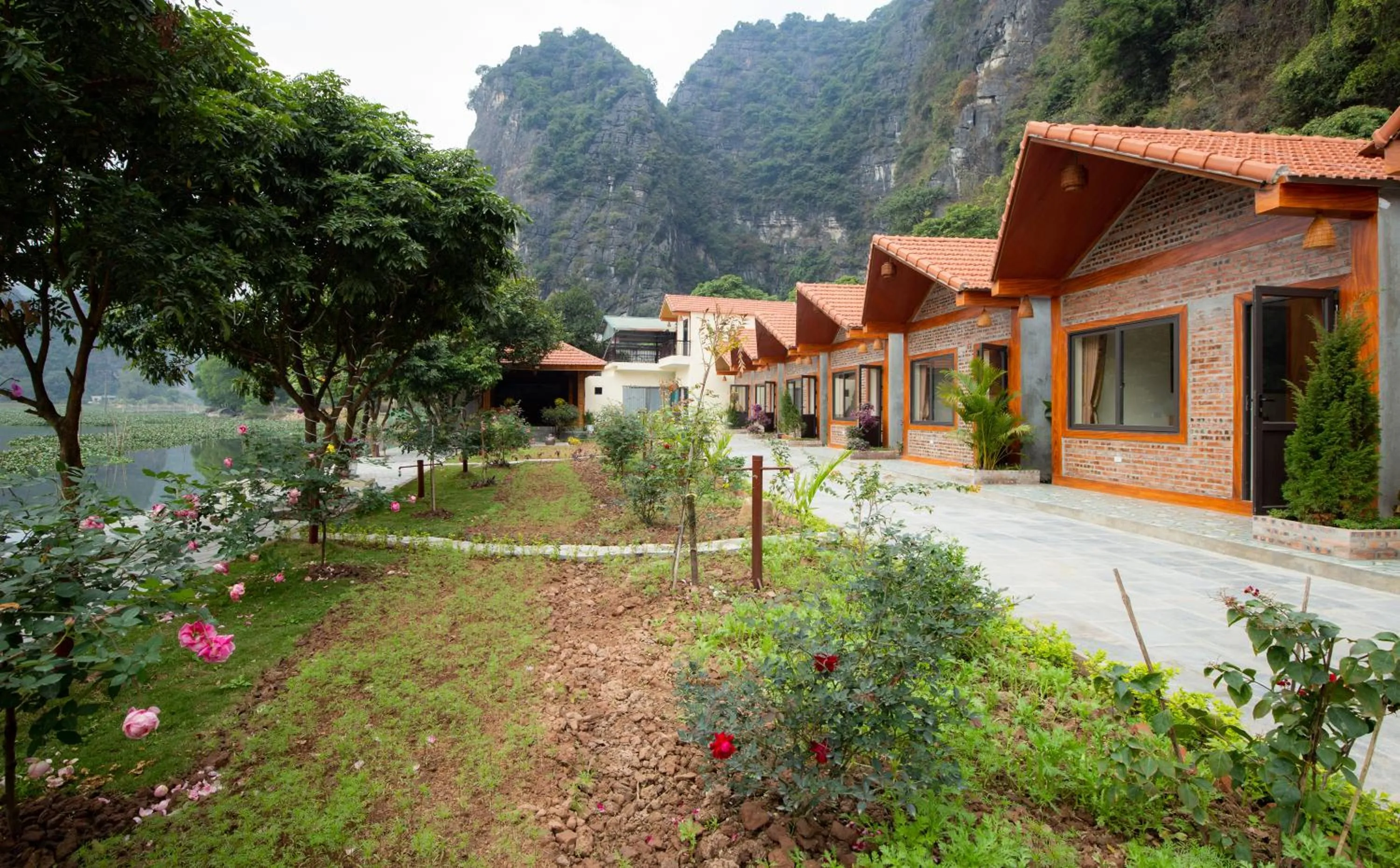 Serena riverside homestay - Tràng An