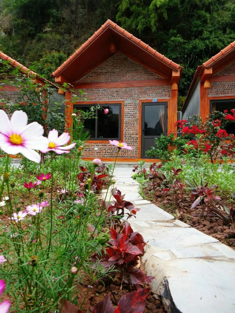 Serena riverside homestay - Tràng An