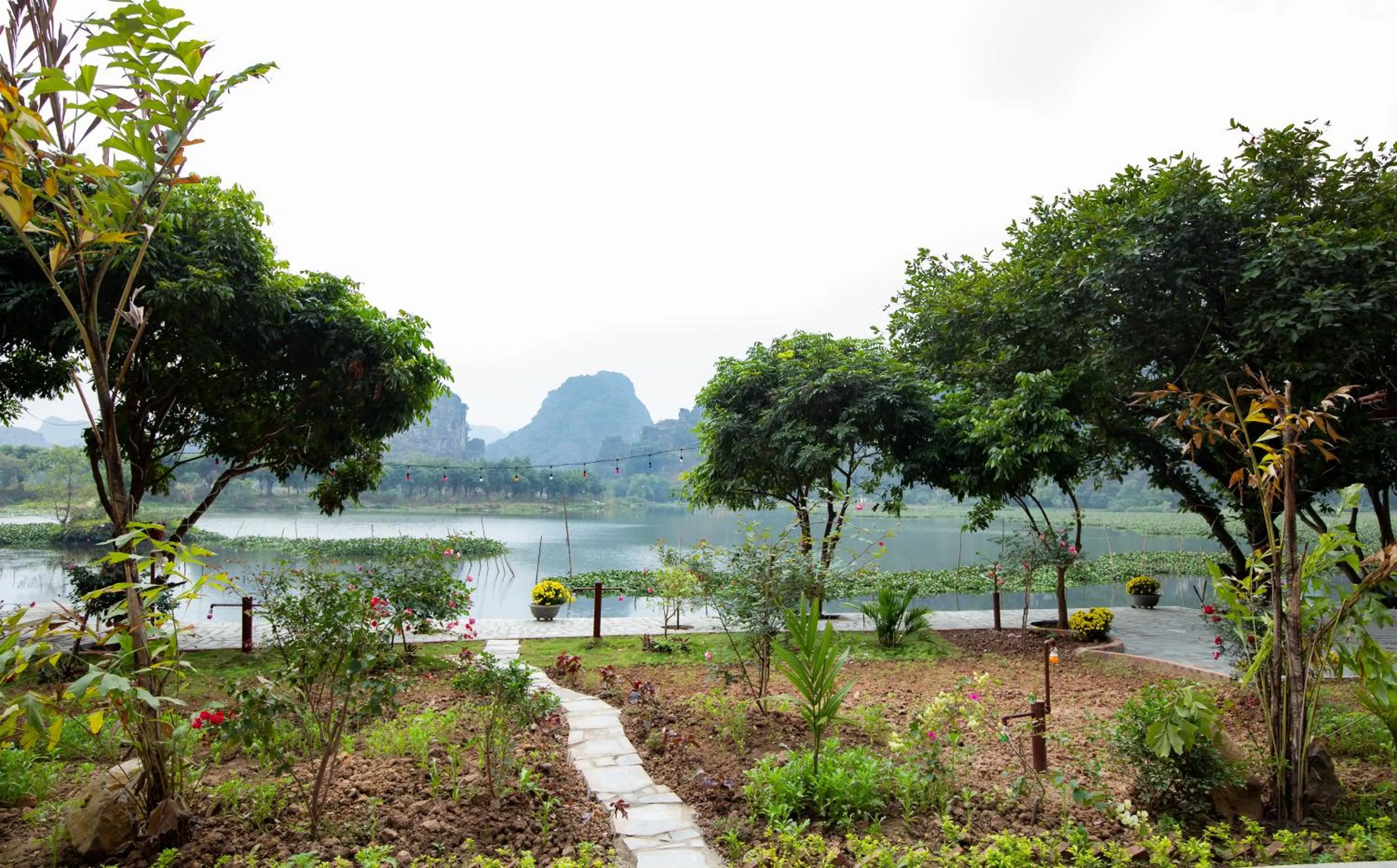 Serena riverside homestay - Tràng An