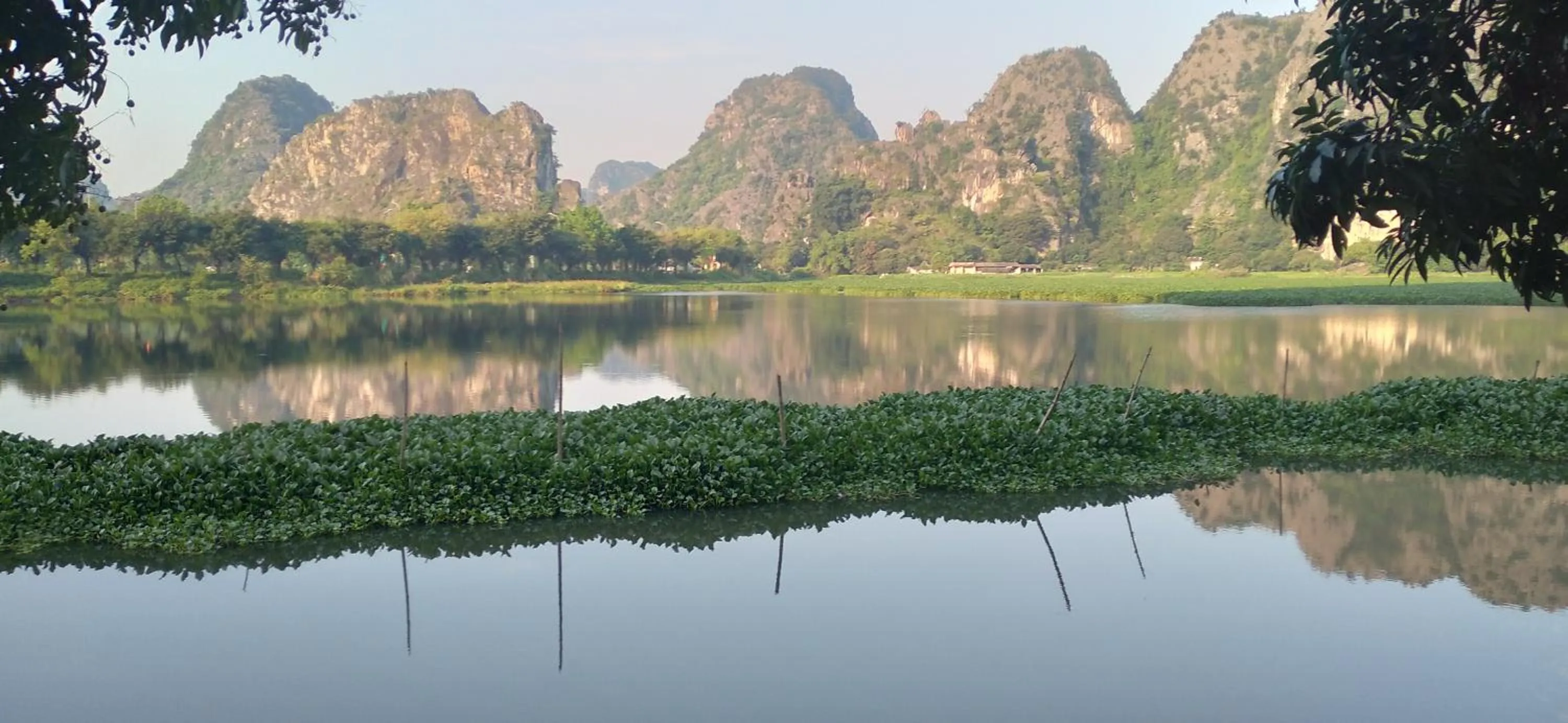 Serena riverside homestay - Tràng An