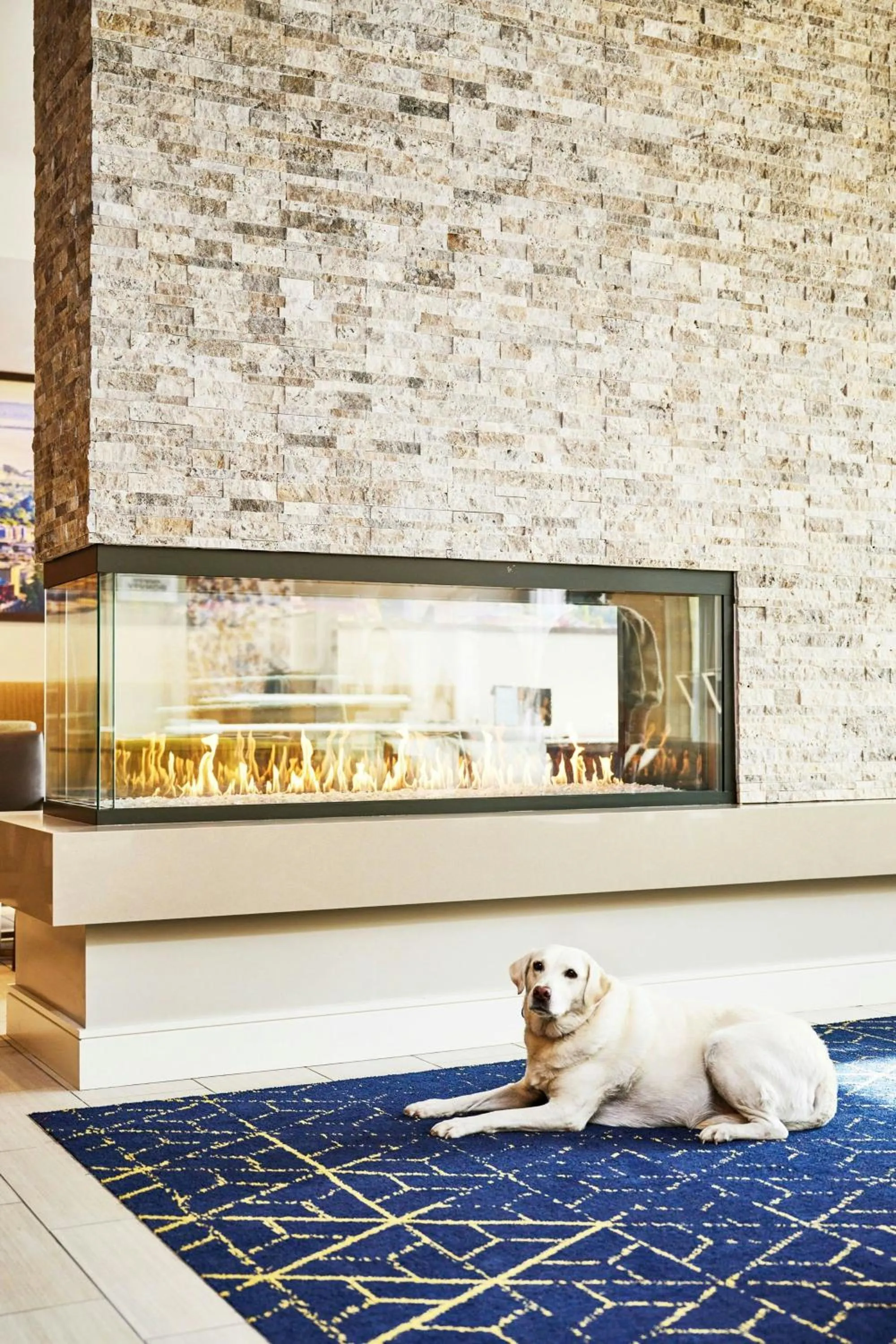 Lobby or reception in Residence Inn By Marriott Berkeley