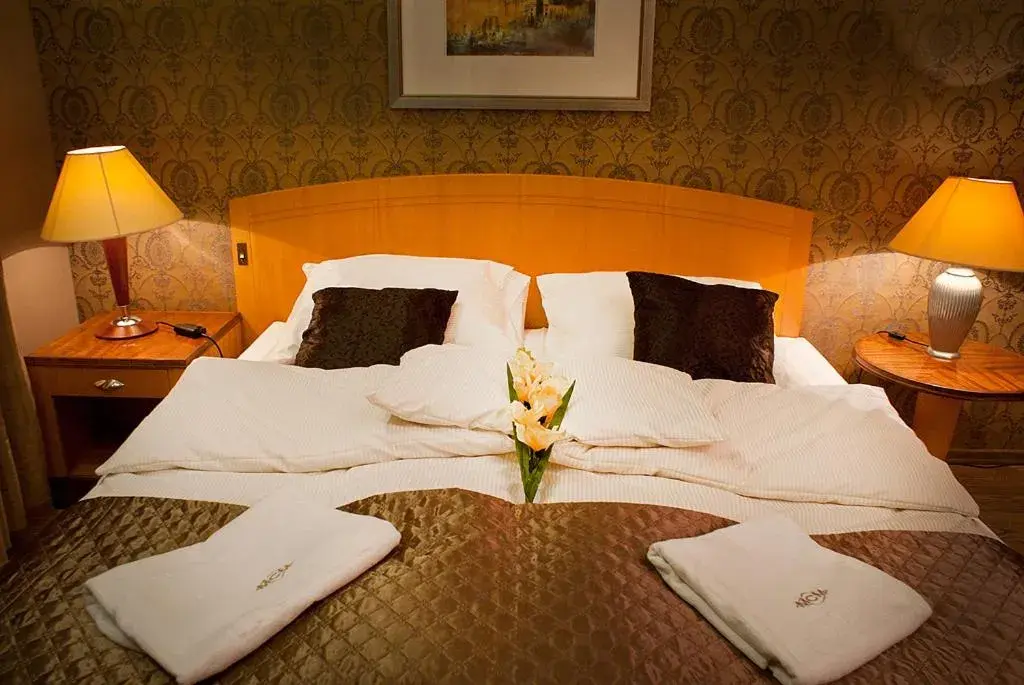 Double Room in Hotel MCM Plus Double Room in Hotel MCM Plus