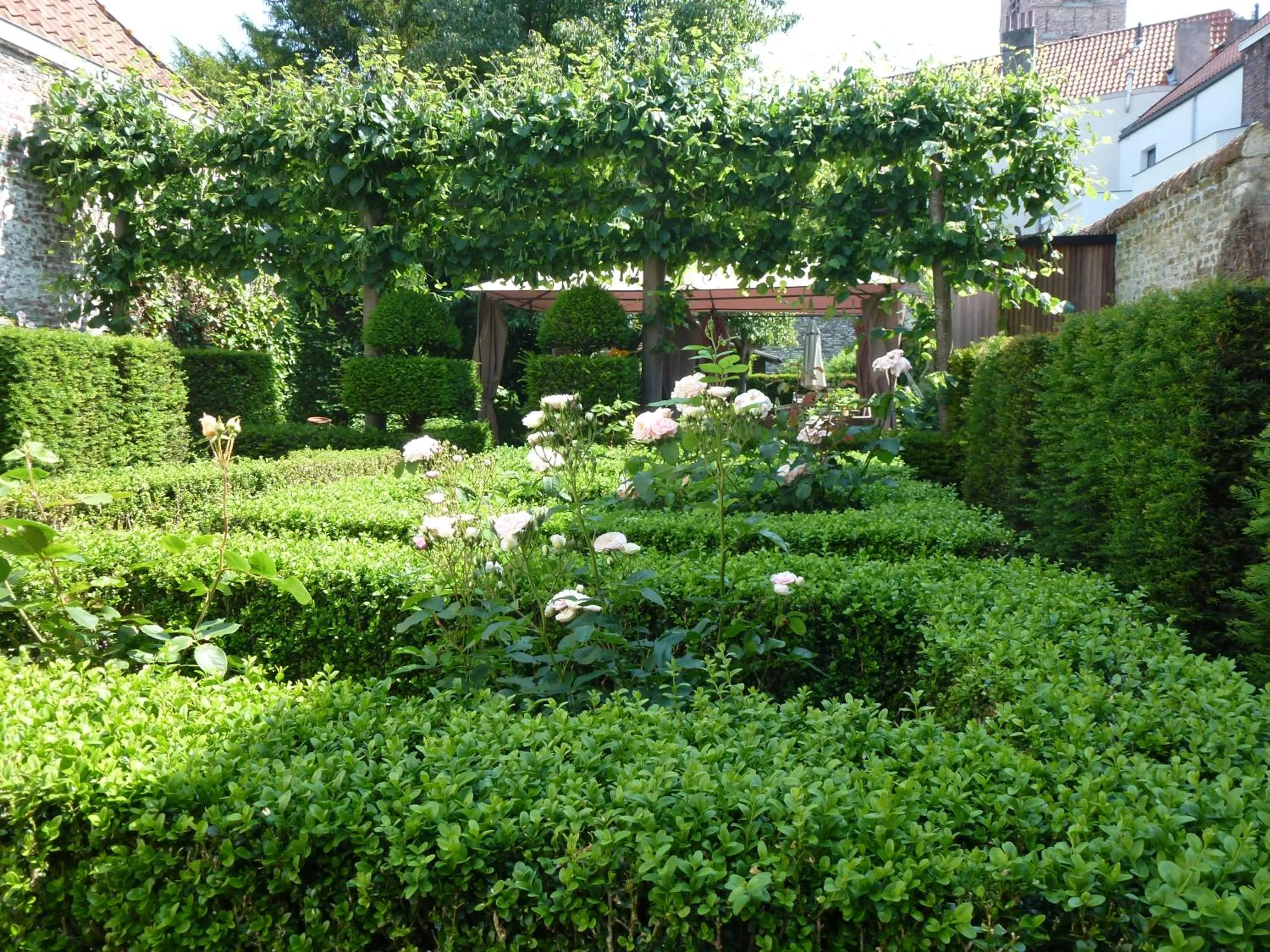 Balcony/Terrace in B&B Anna9