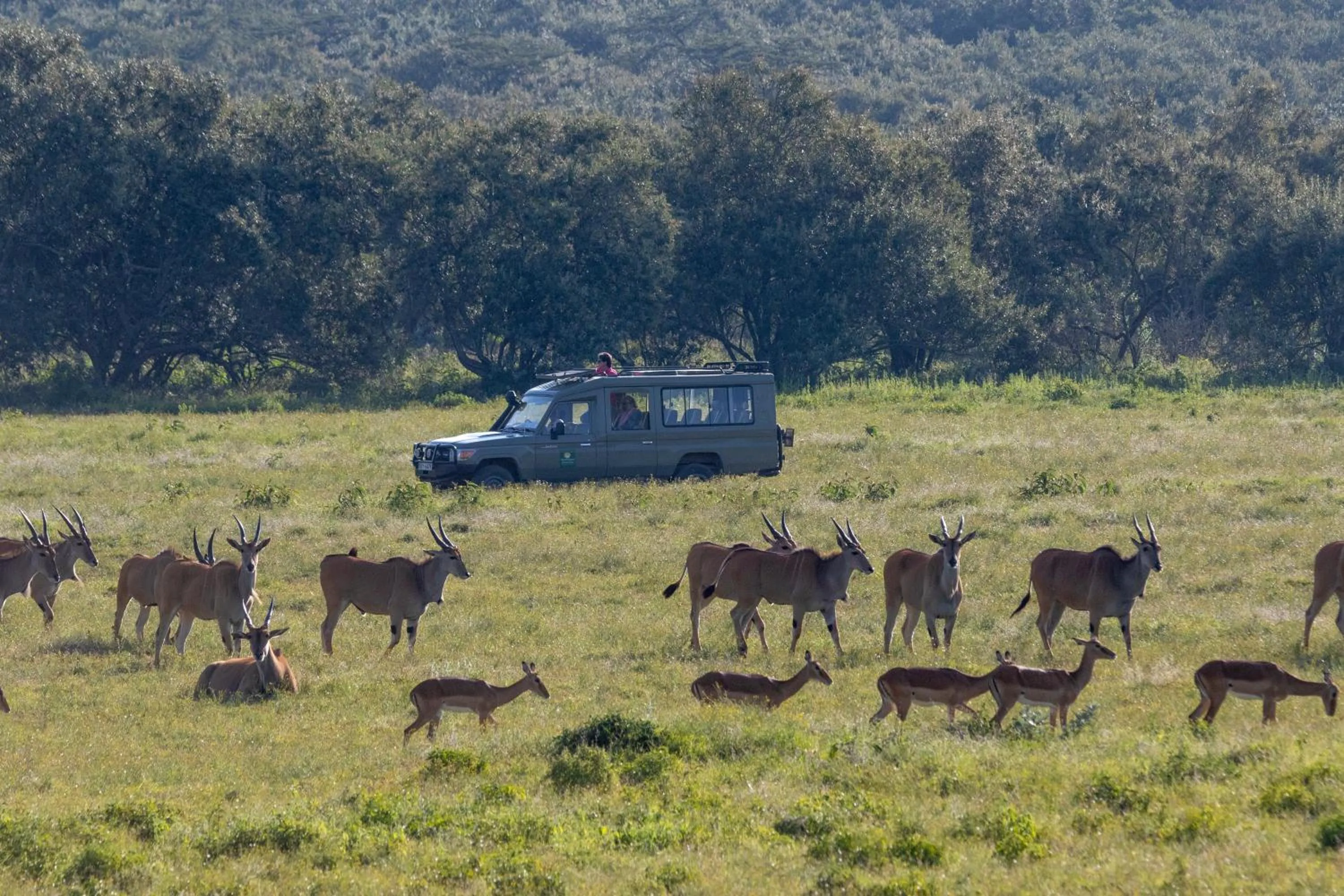 Activities in Chui Lodge