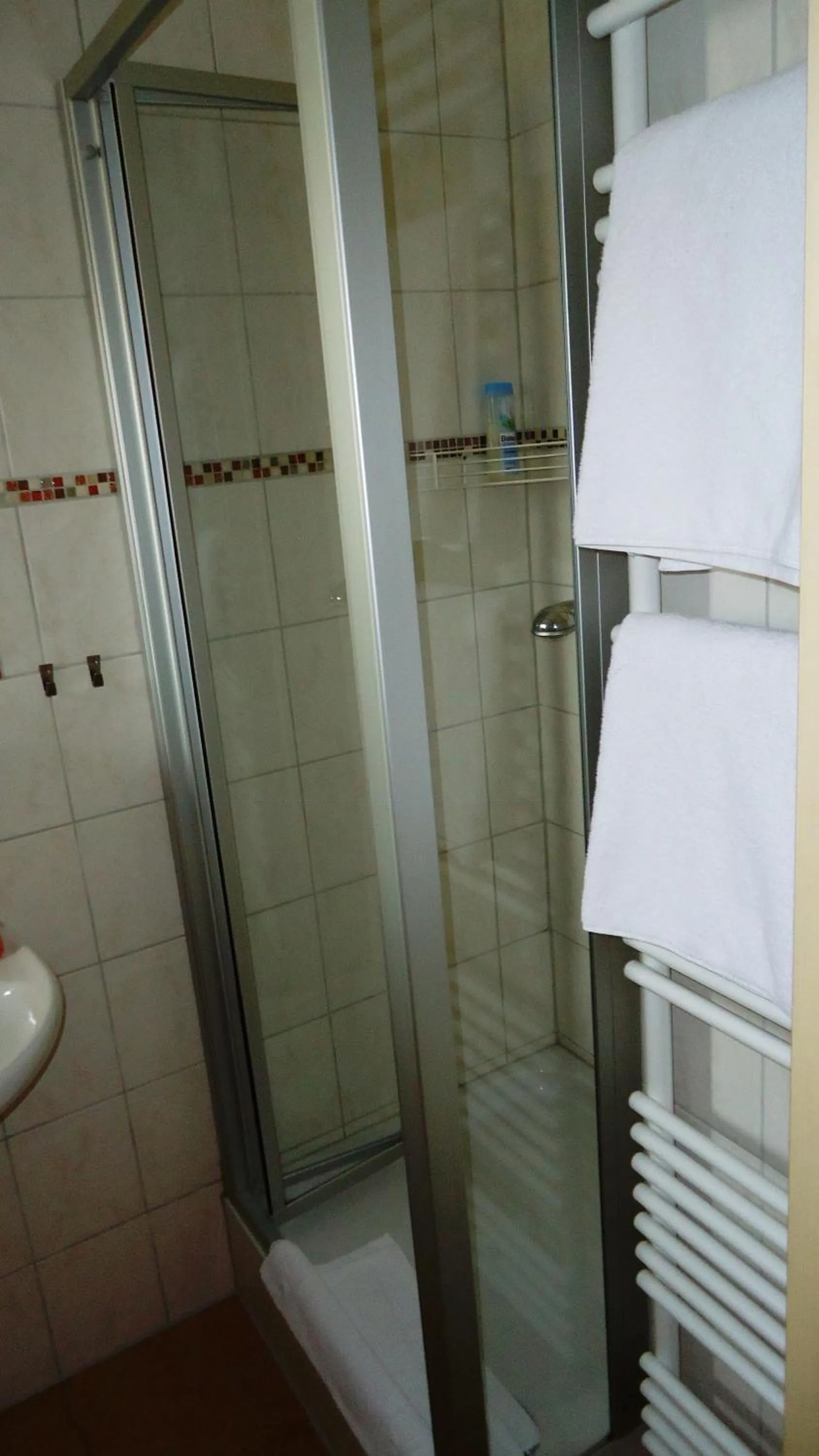 Shower in Hotel Krone