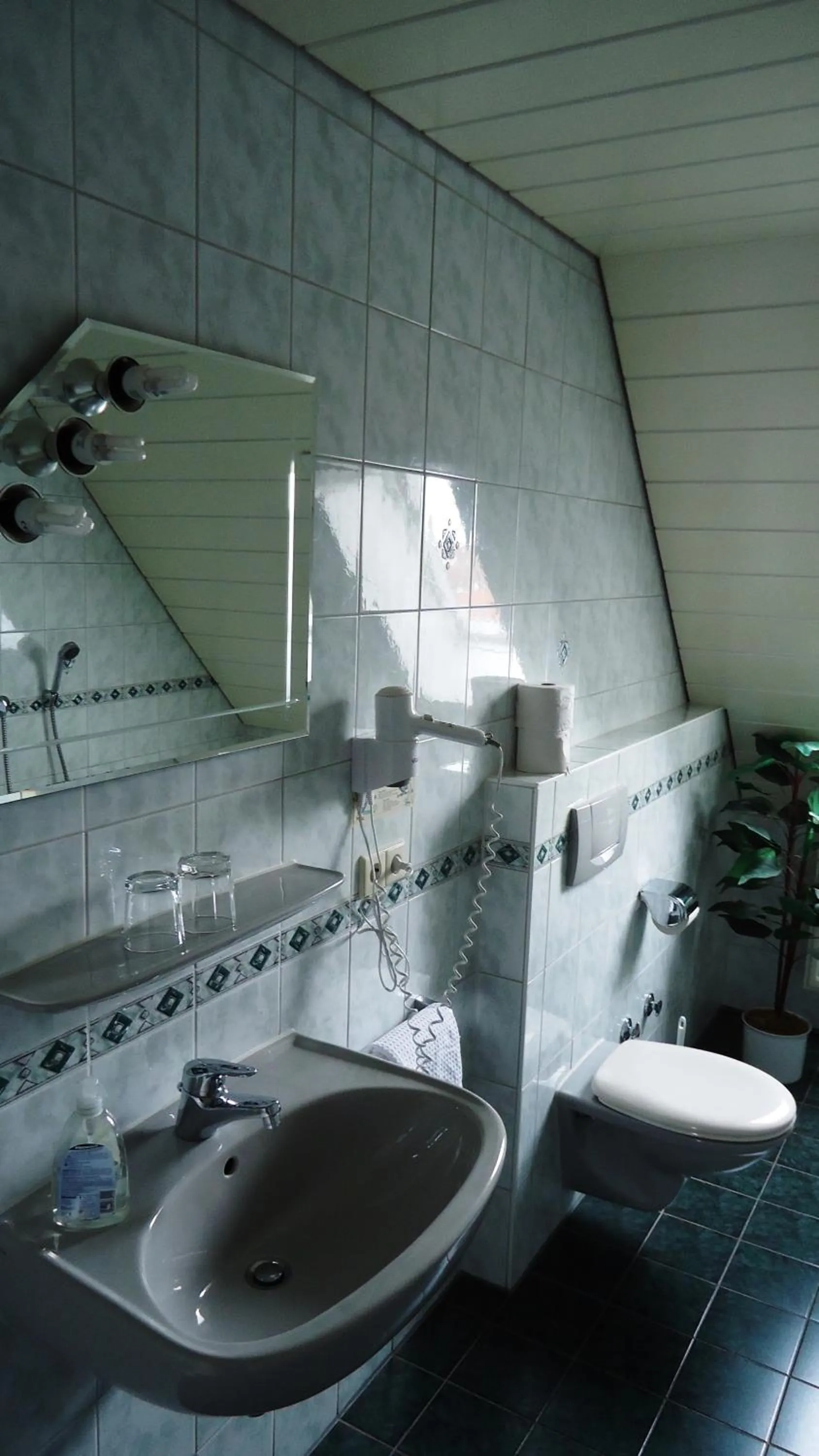 Toilet in Hotel Krone