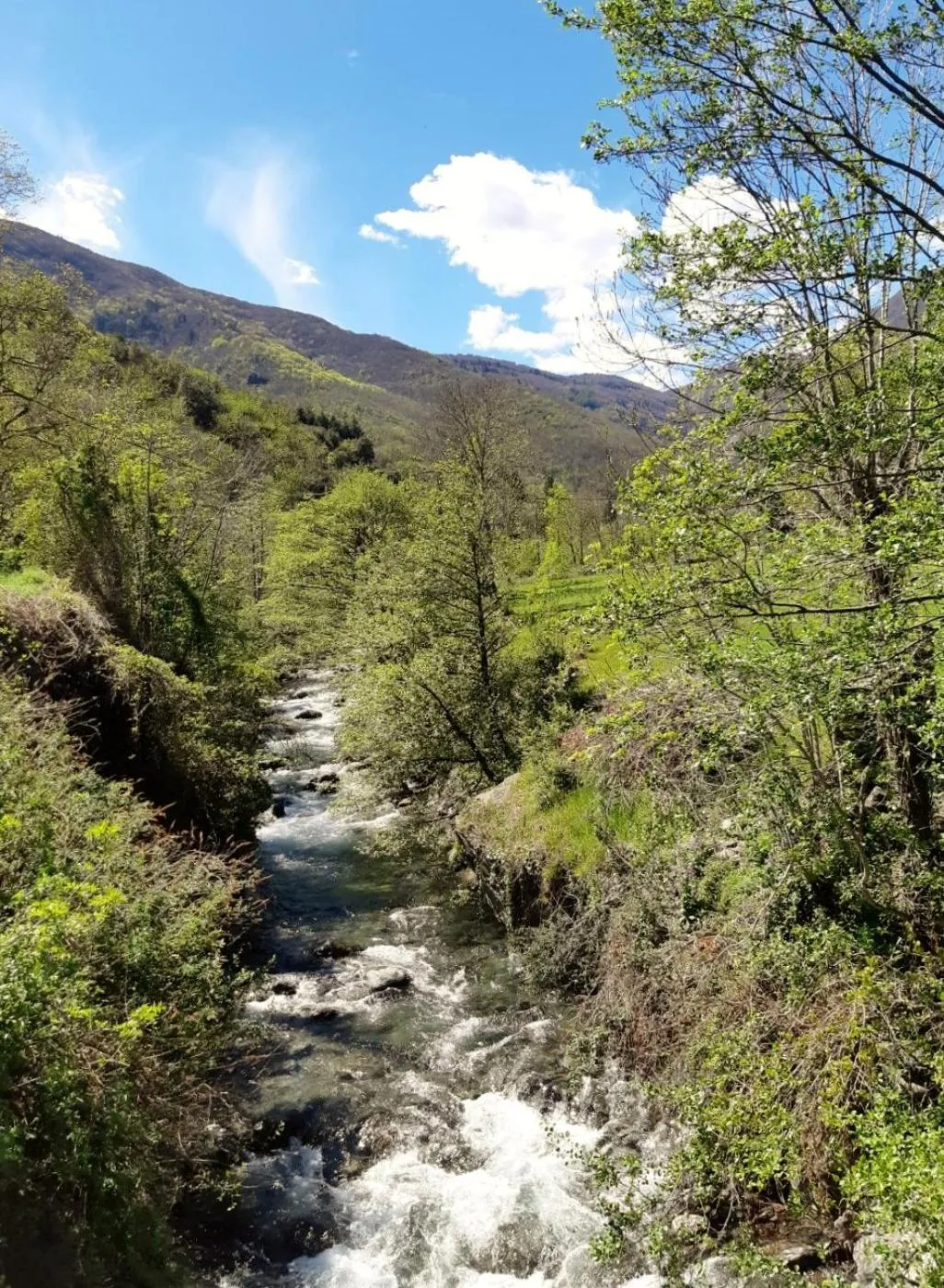 Balcony/Terrace in Auberge Cevenole