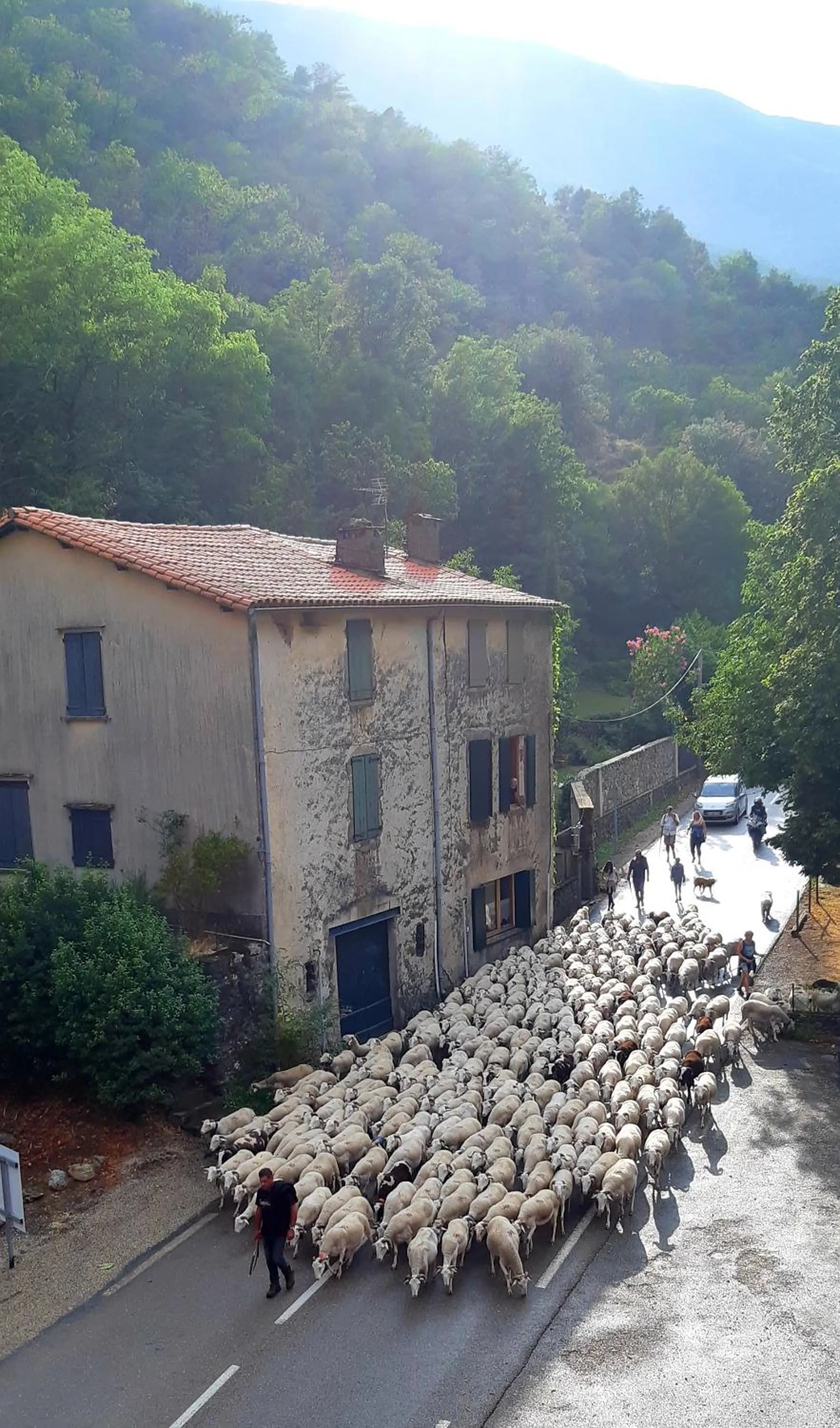 Natural landscape in Auberge Cevenole