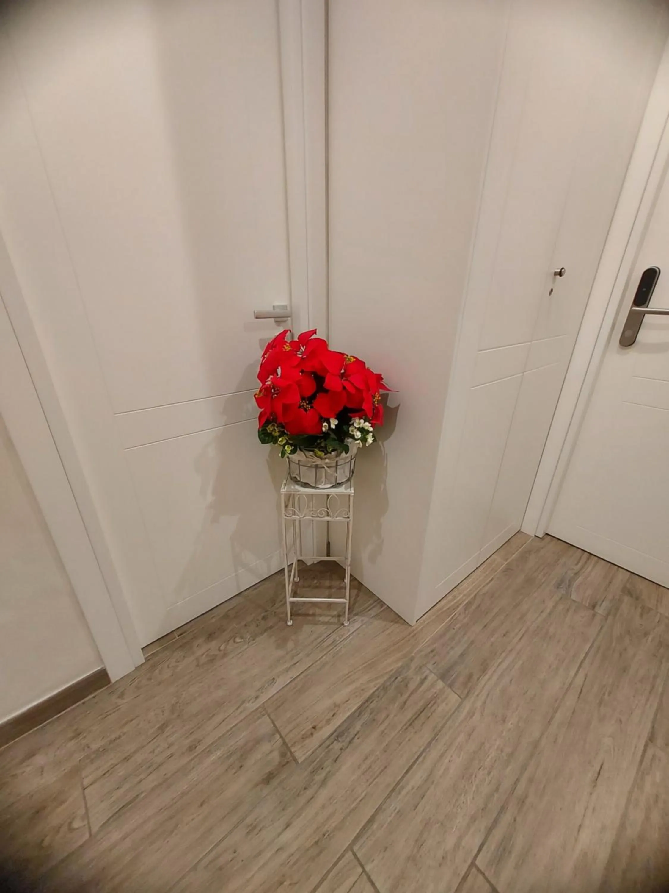 Property building in Domus Cinecittà