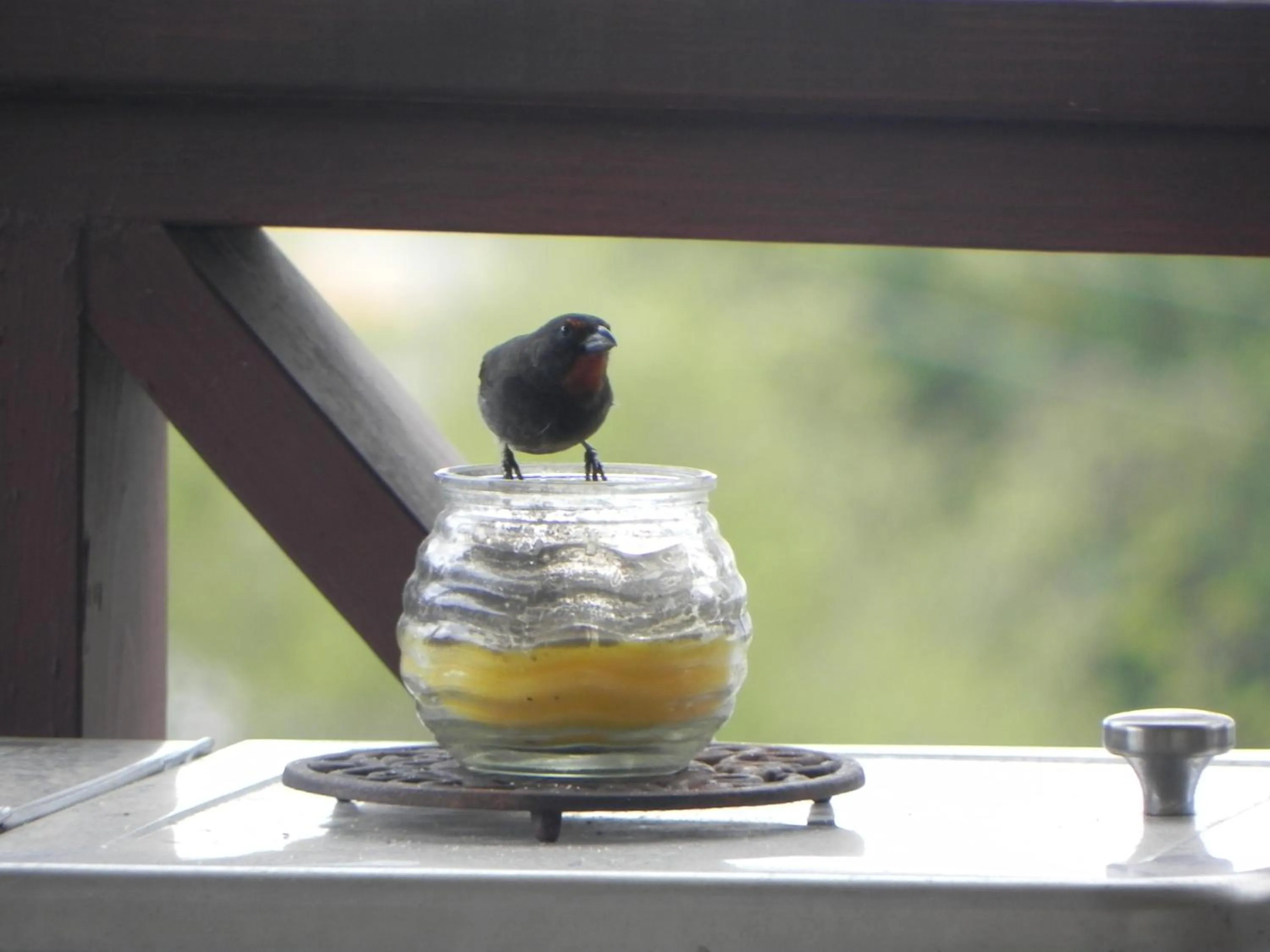 Patio in Villa Touloulou