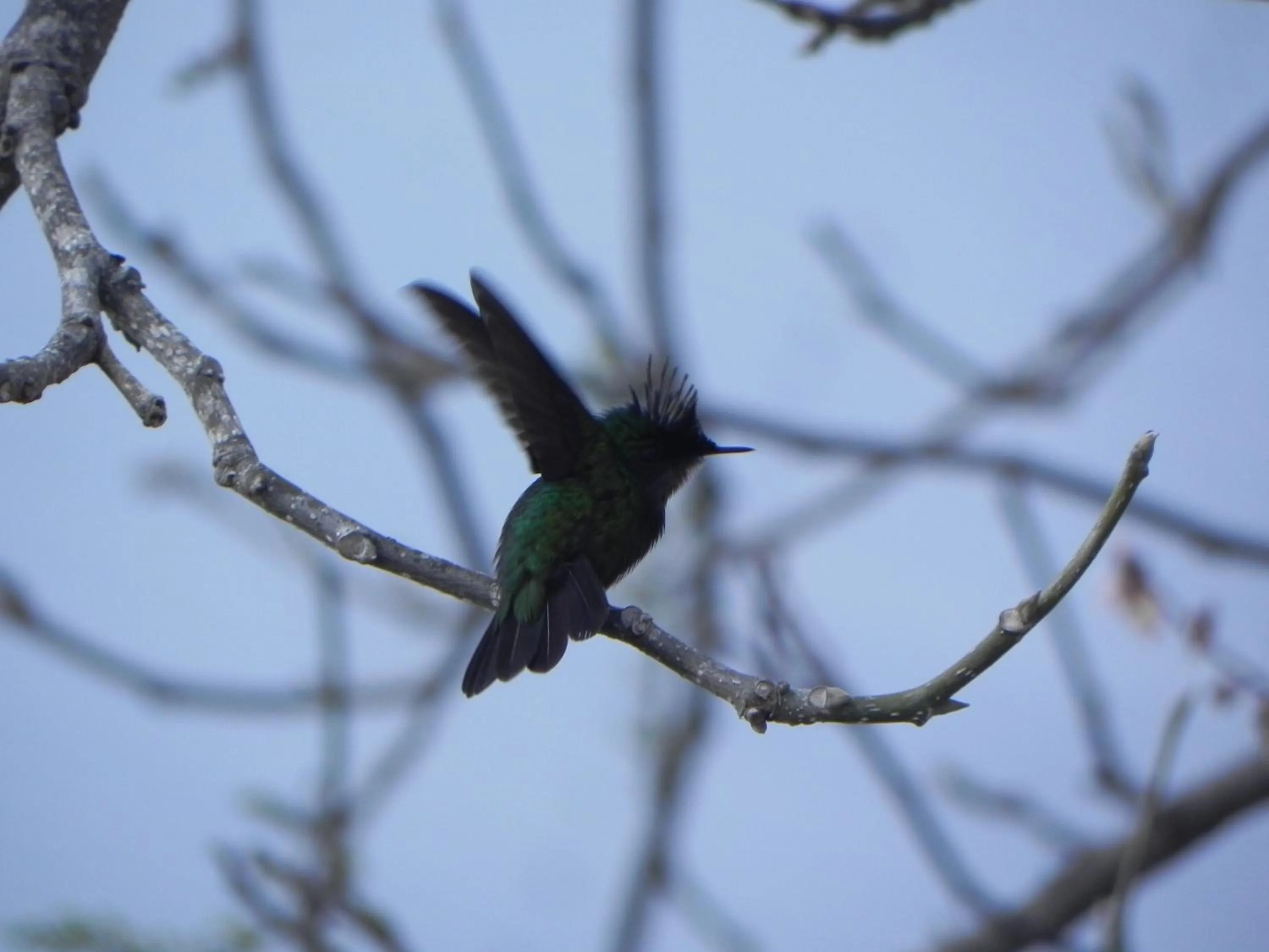 Garden in Villa Touloulou