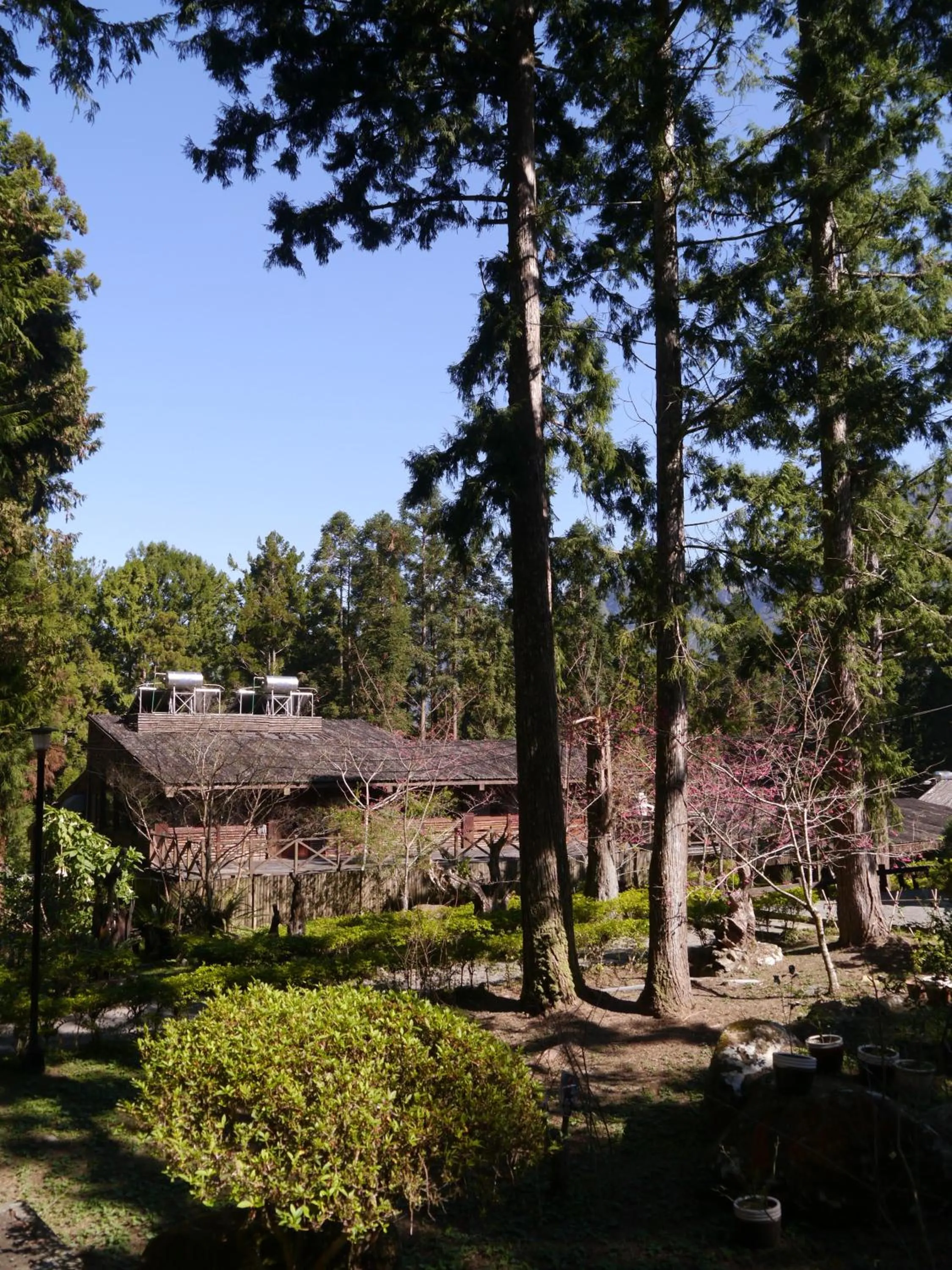 Natural landscape in Xitou Youth Activity Center
