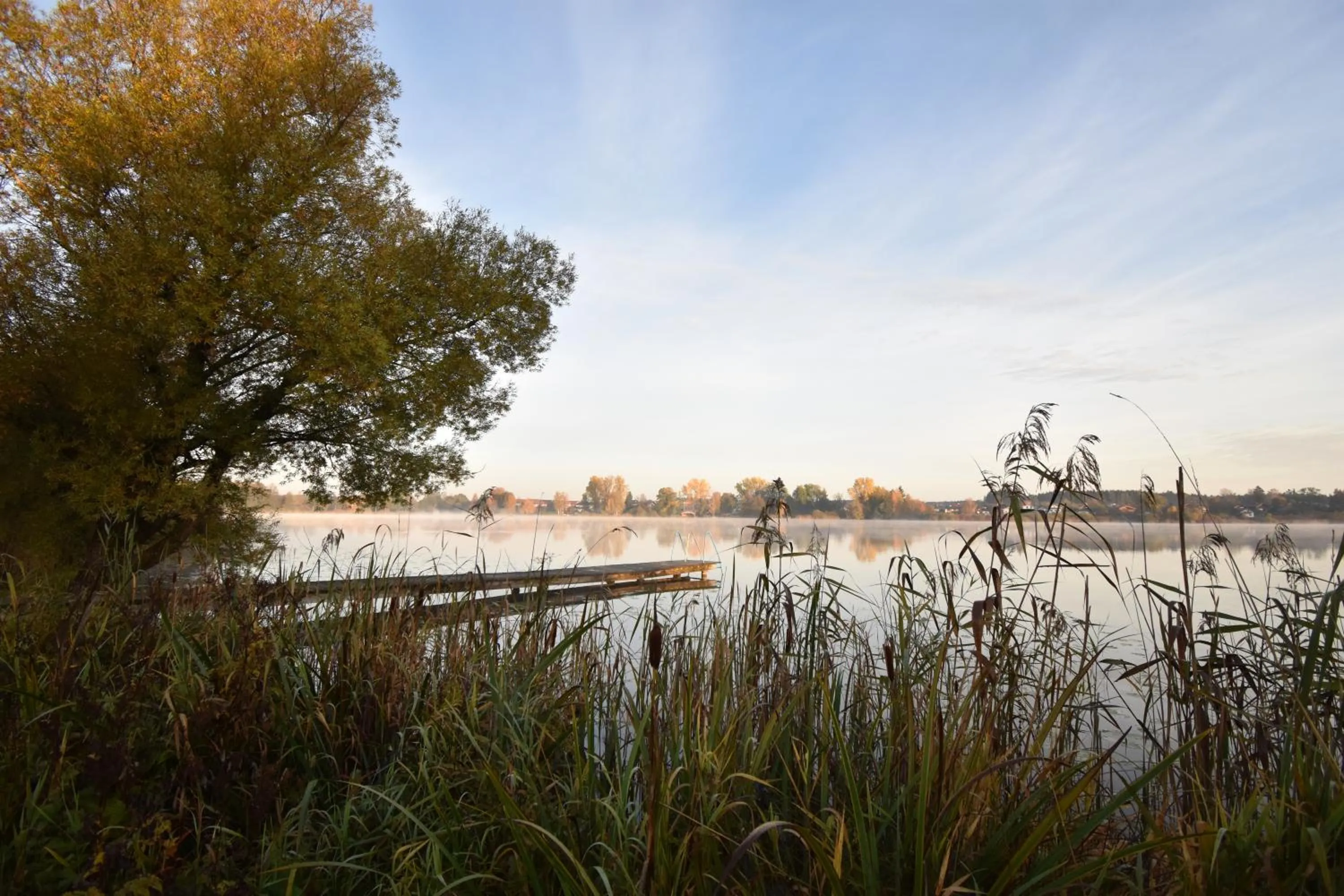 Beach in Hotel Seeblick
