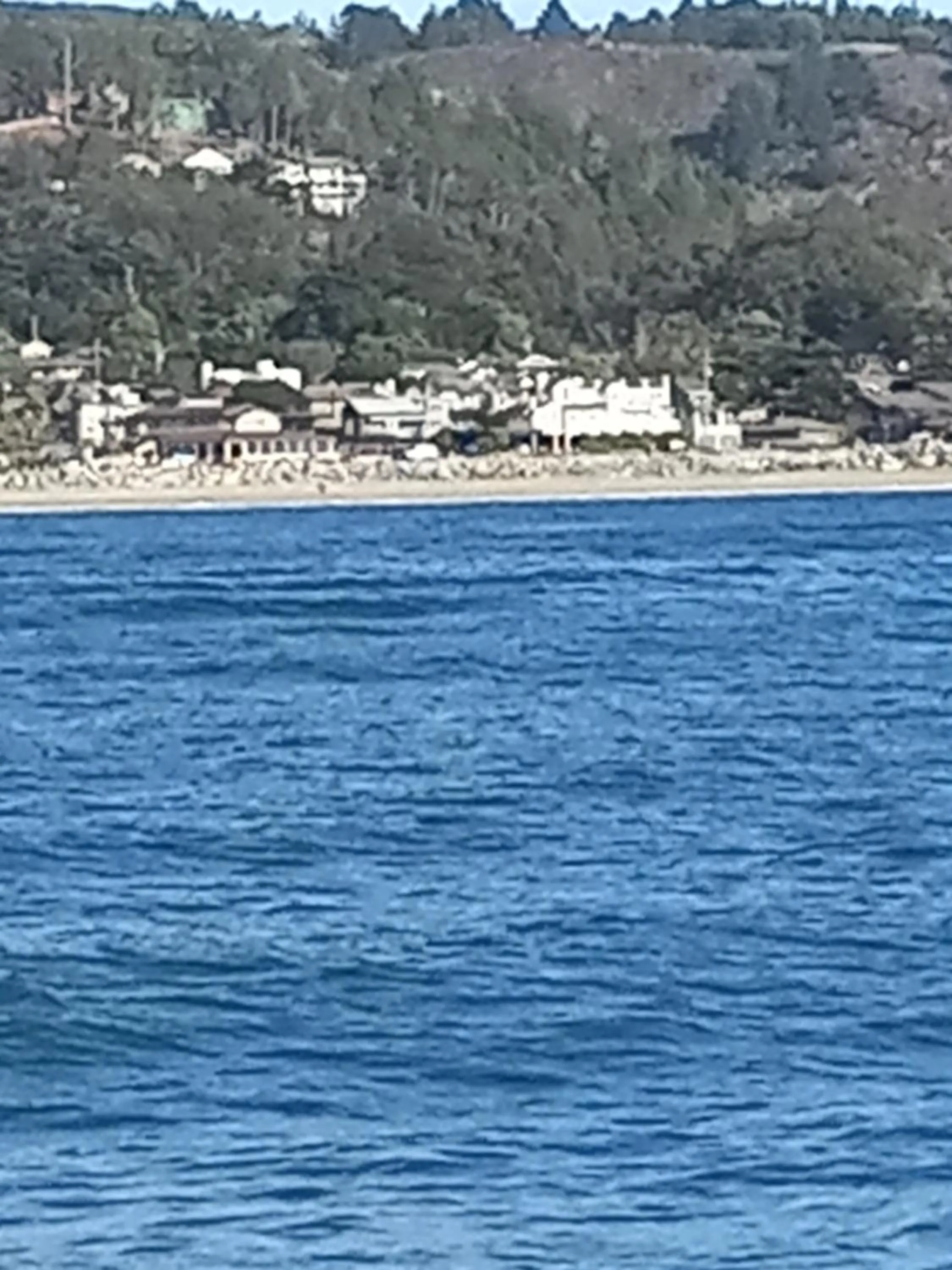 Property building in The Oceanfront Stay on MiramarBeach HMB