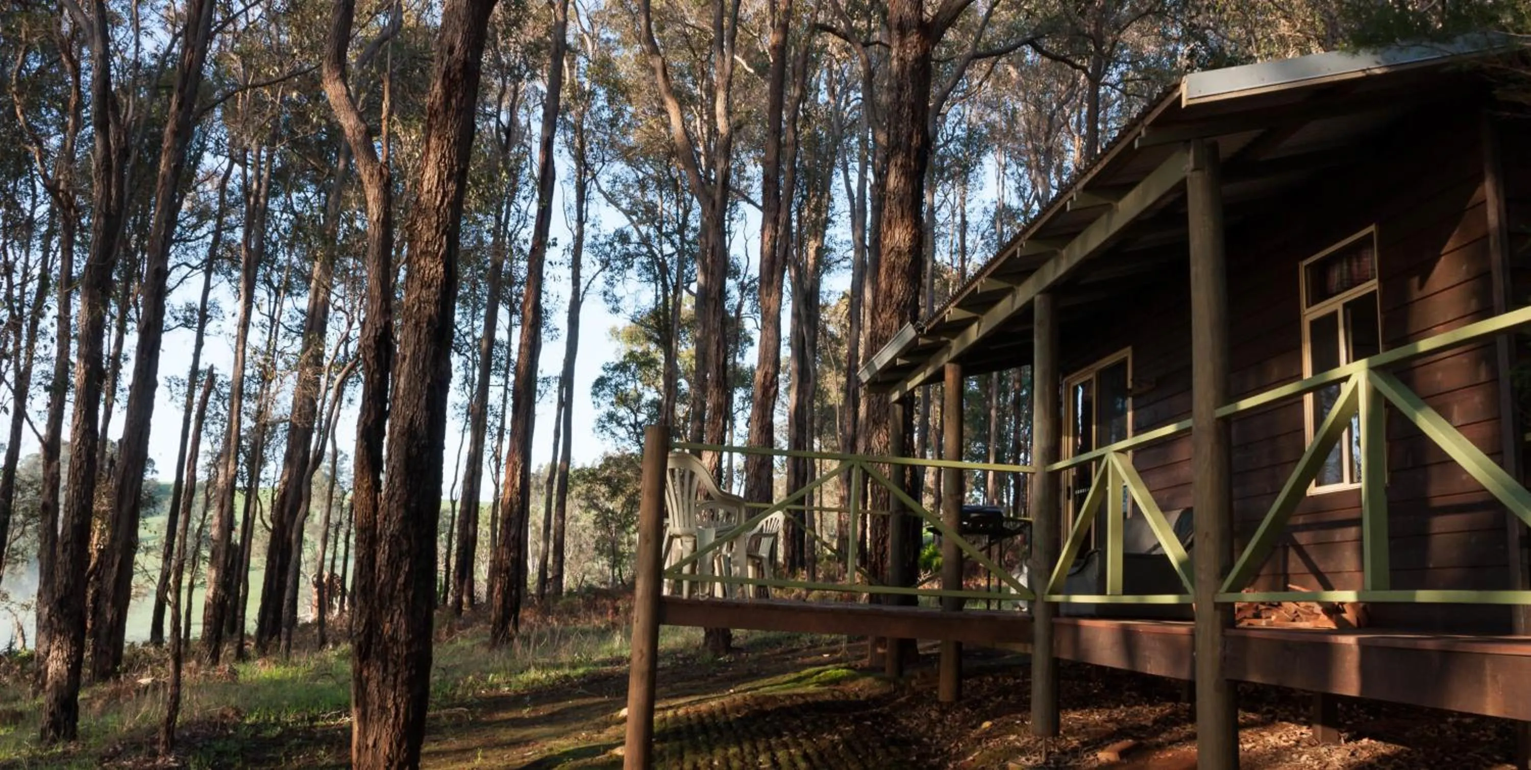 View (from property/room) in Balingup Heights Hilltop Forest Cottages