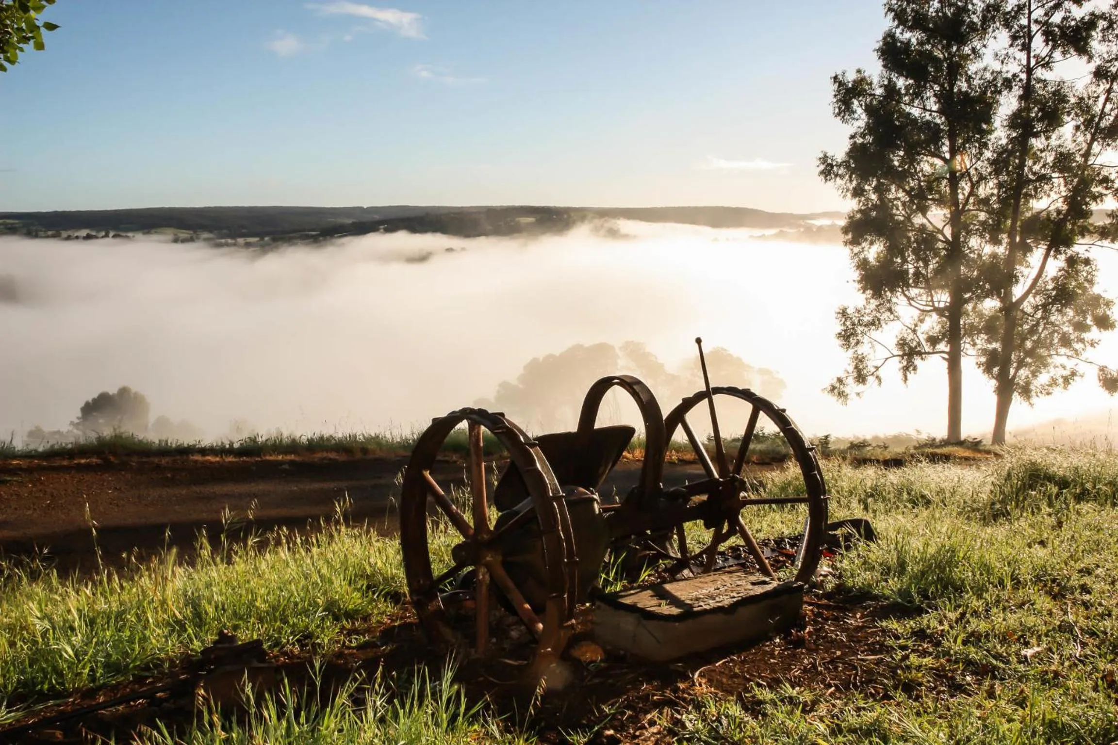 Natural landscape in Balingup Heights Hilltop Forest Cottages