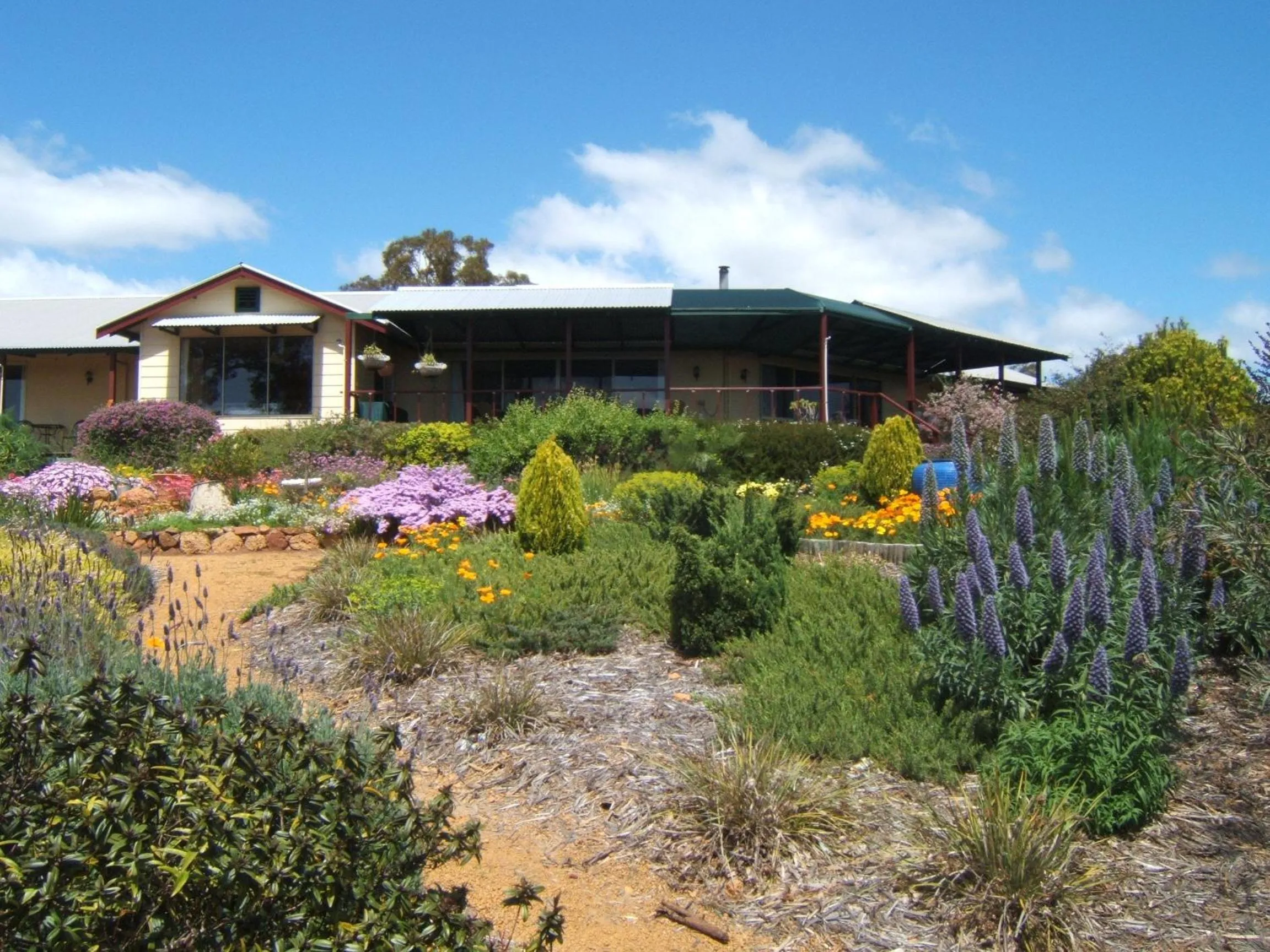 Garden view in Shambhala Guesthouse