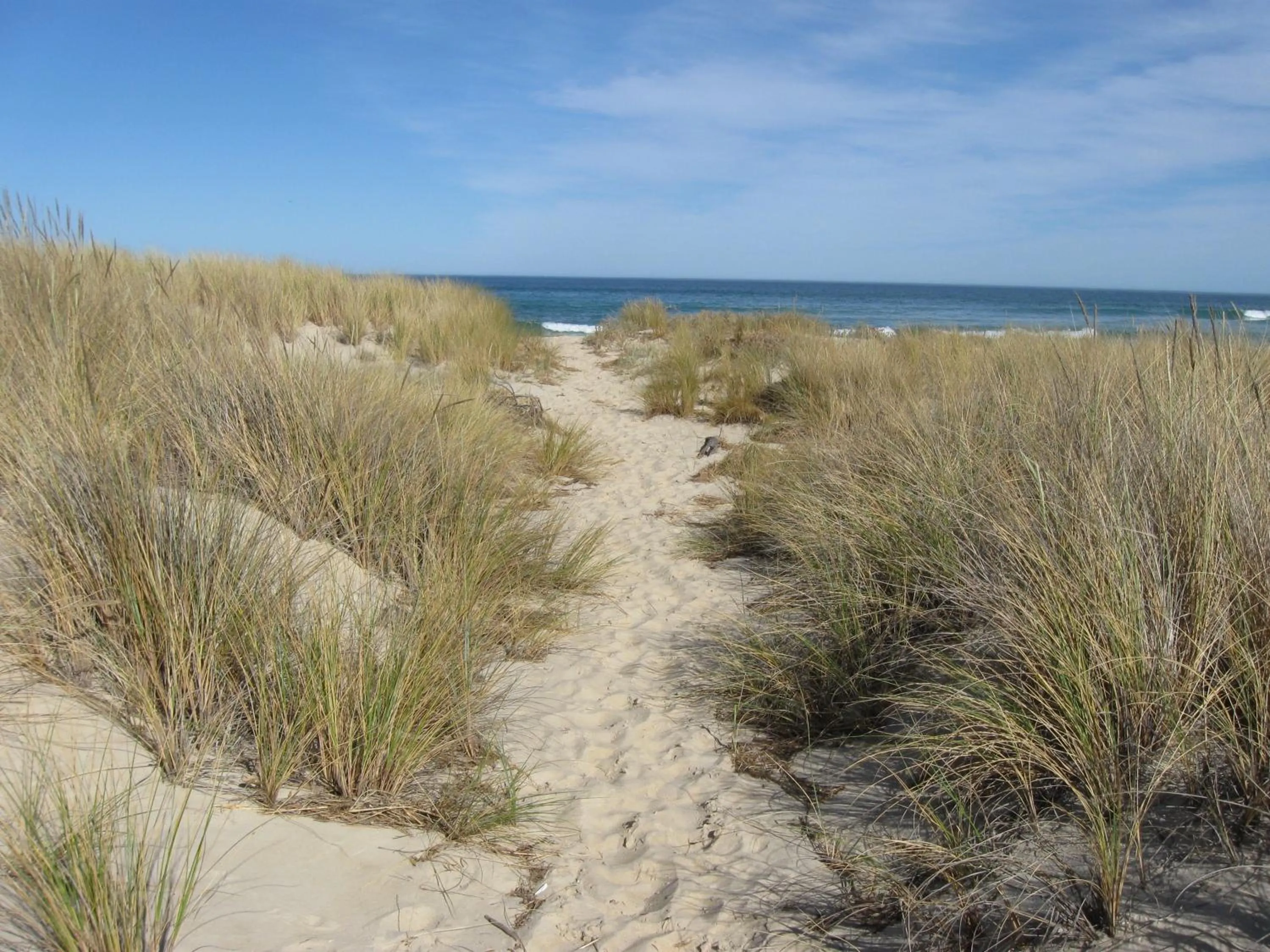 Beach in Blue Seas Holiday Villas