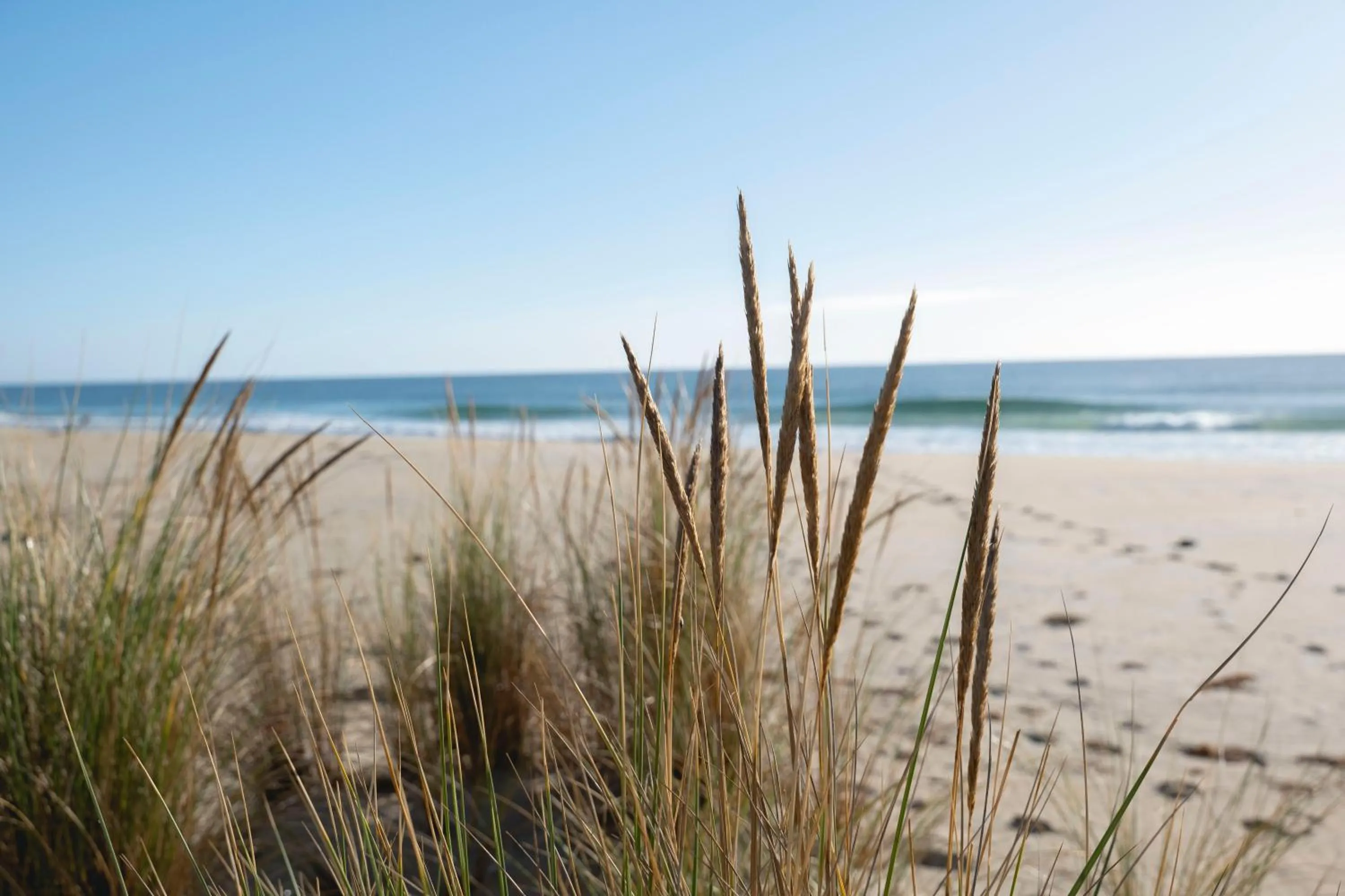 Beach in Blue Seas Holiday Villas